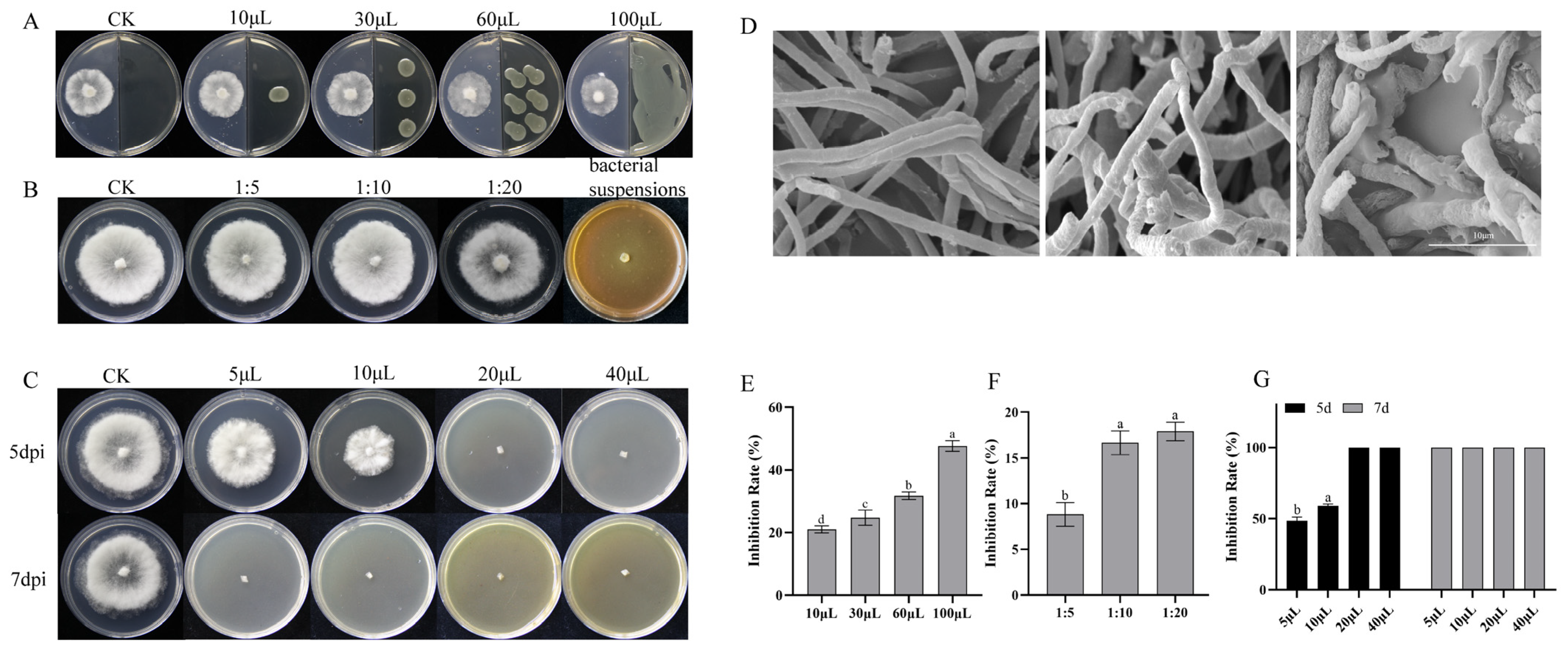 Forests 16 00650 g005 Forests 16 00650 g005