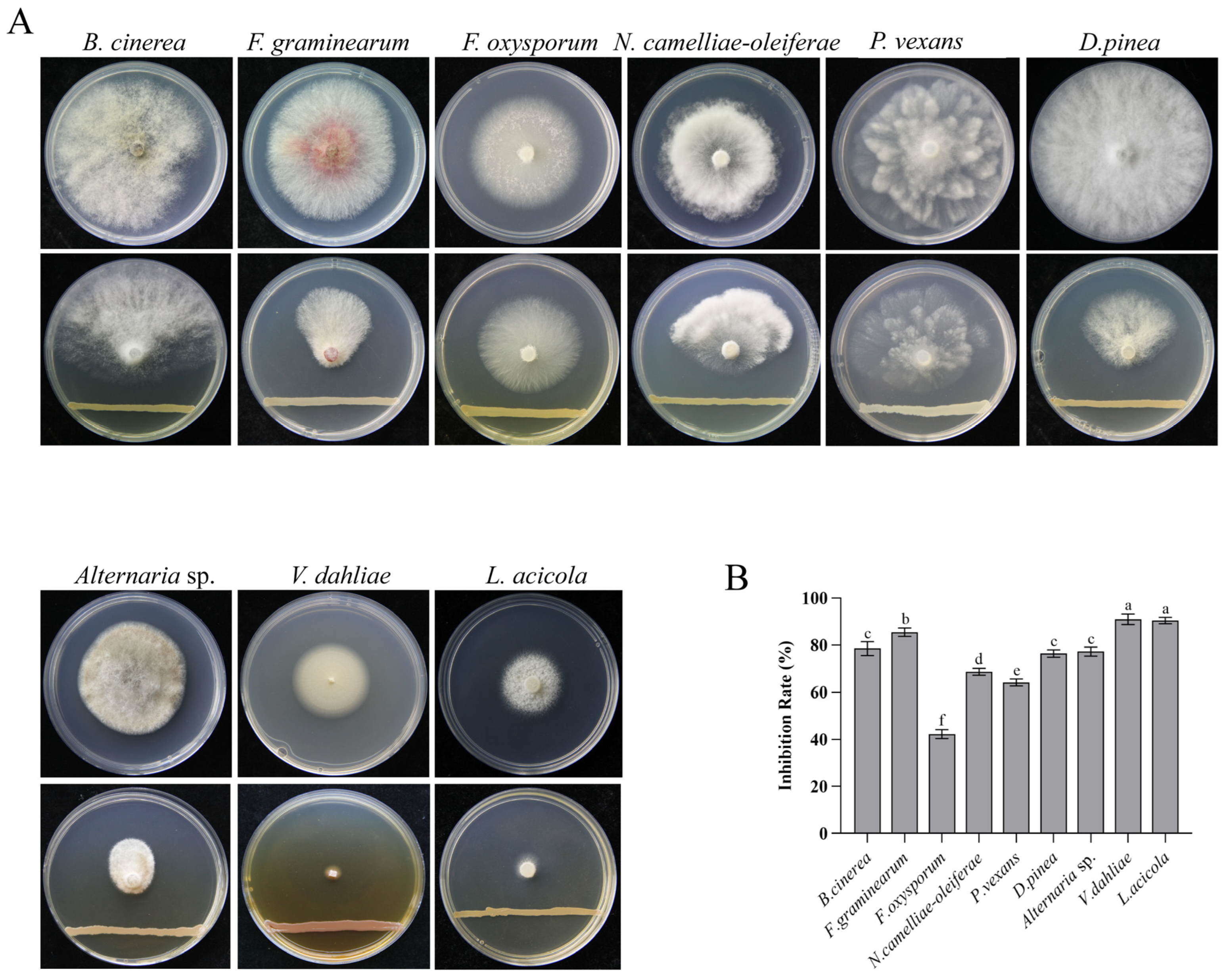 Forests 16 00650 g007 Forests 16 00650 g007