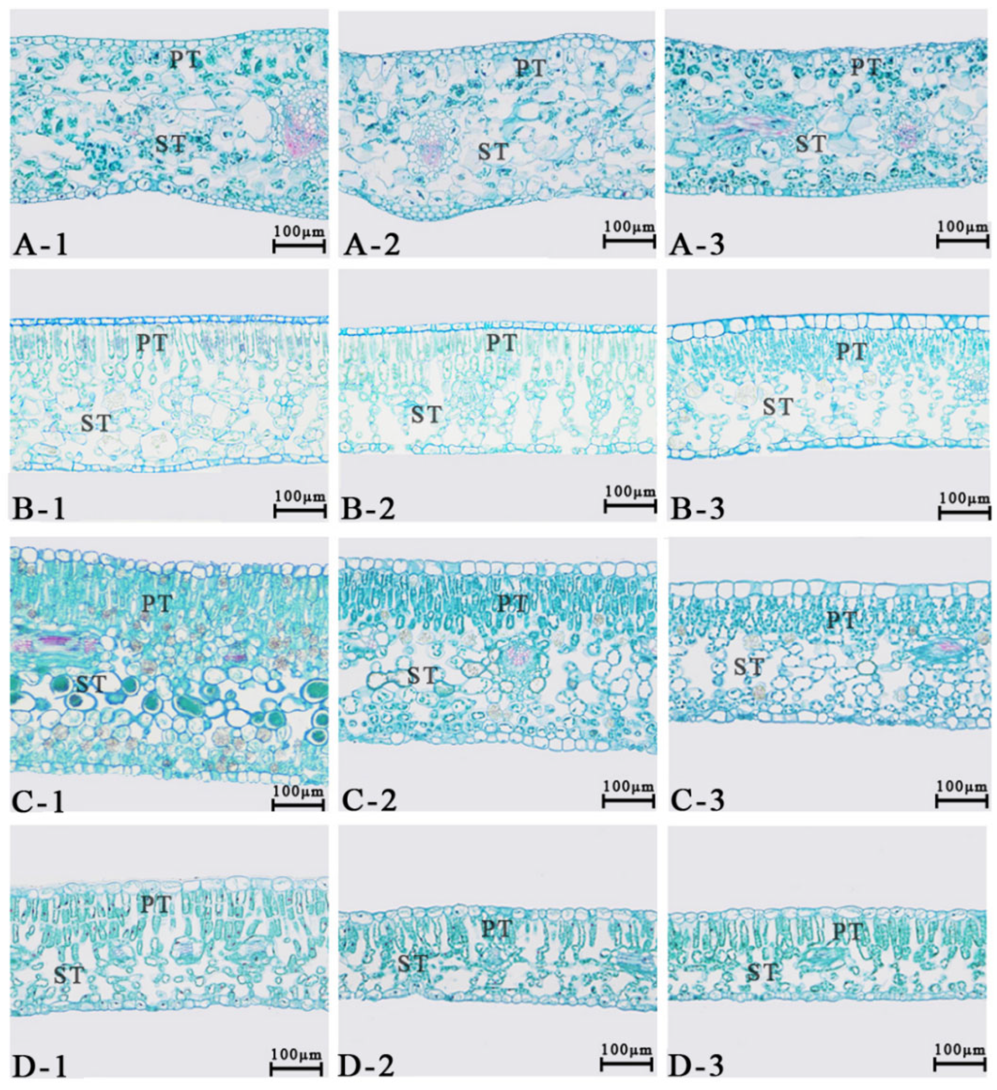 Forests 16 00651 g002
