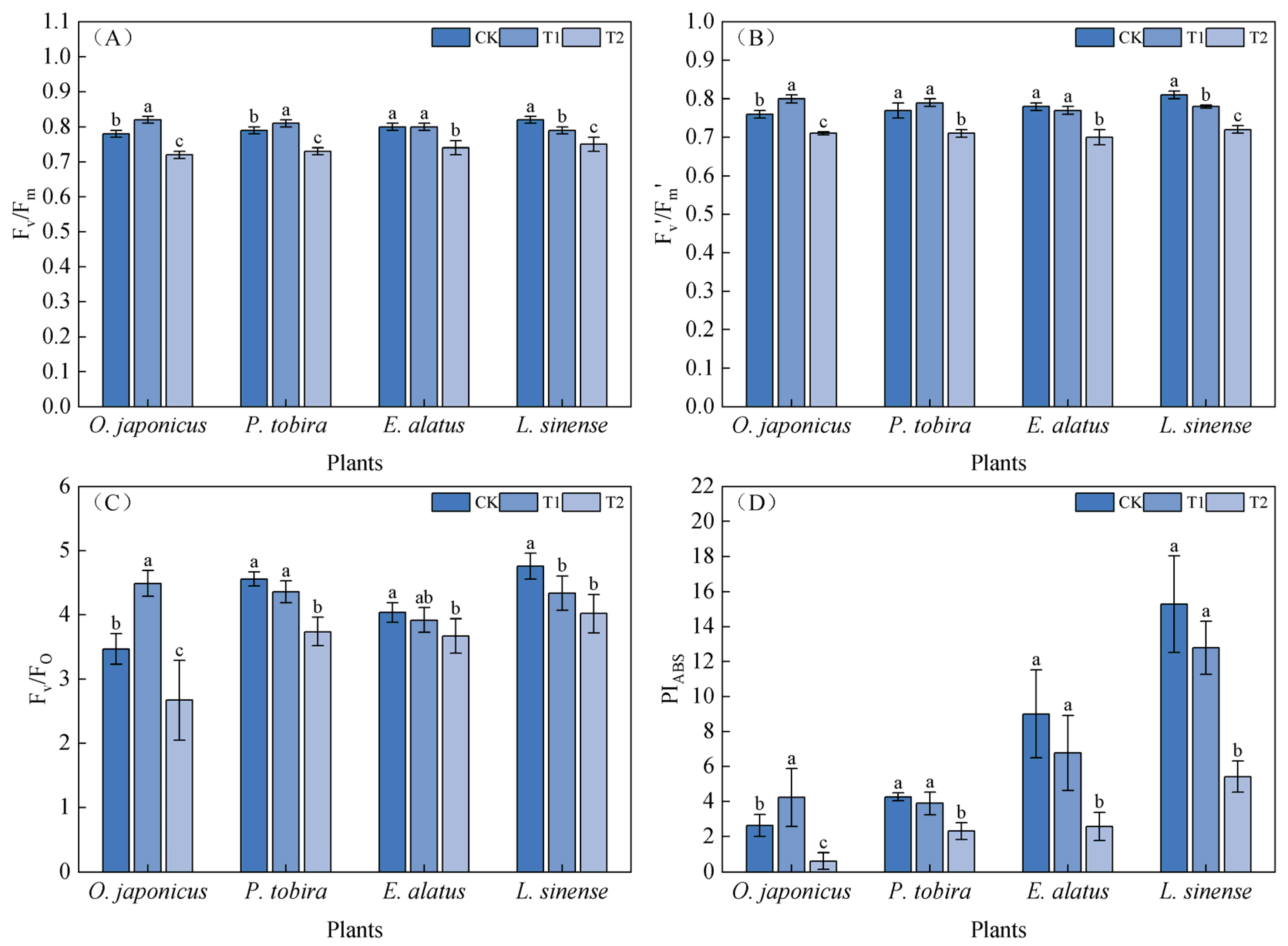 Forests 16 00651 g004