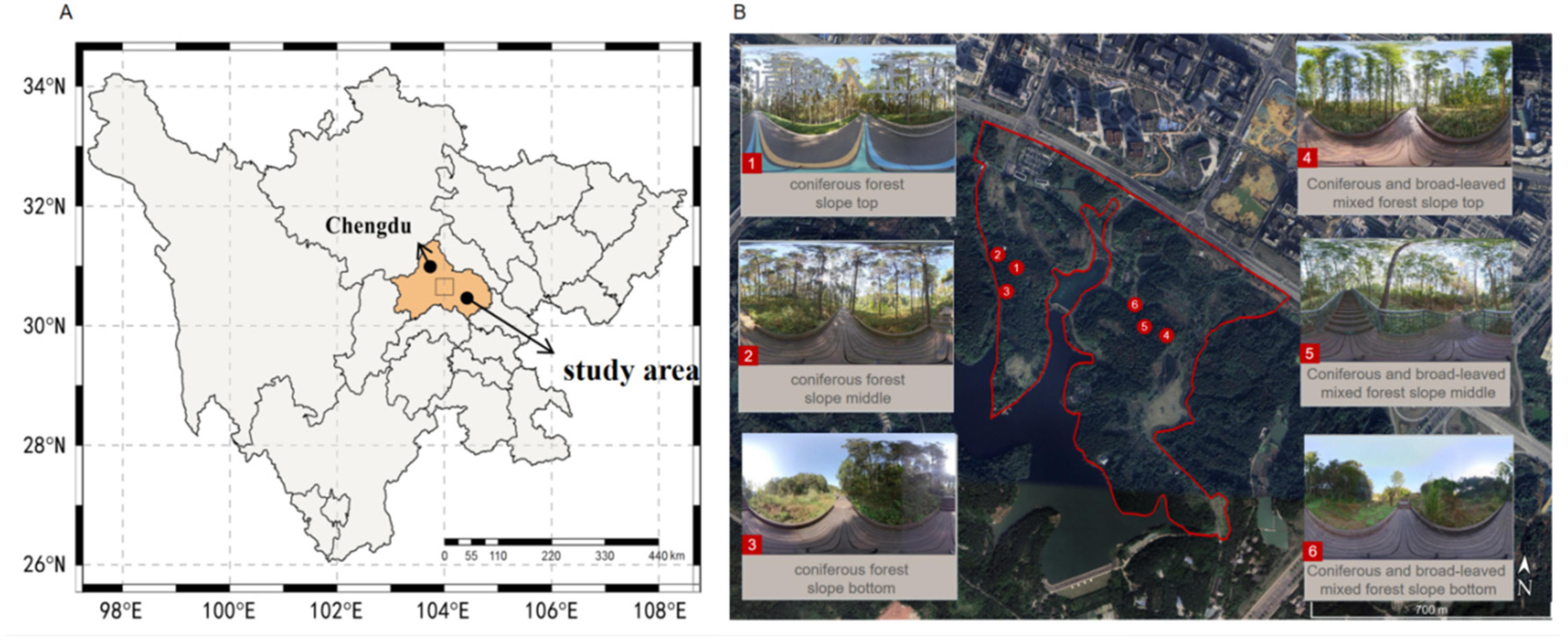 Forests 16 00653 g002