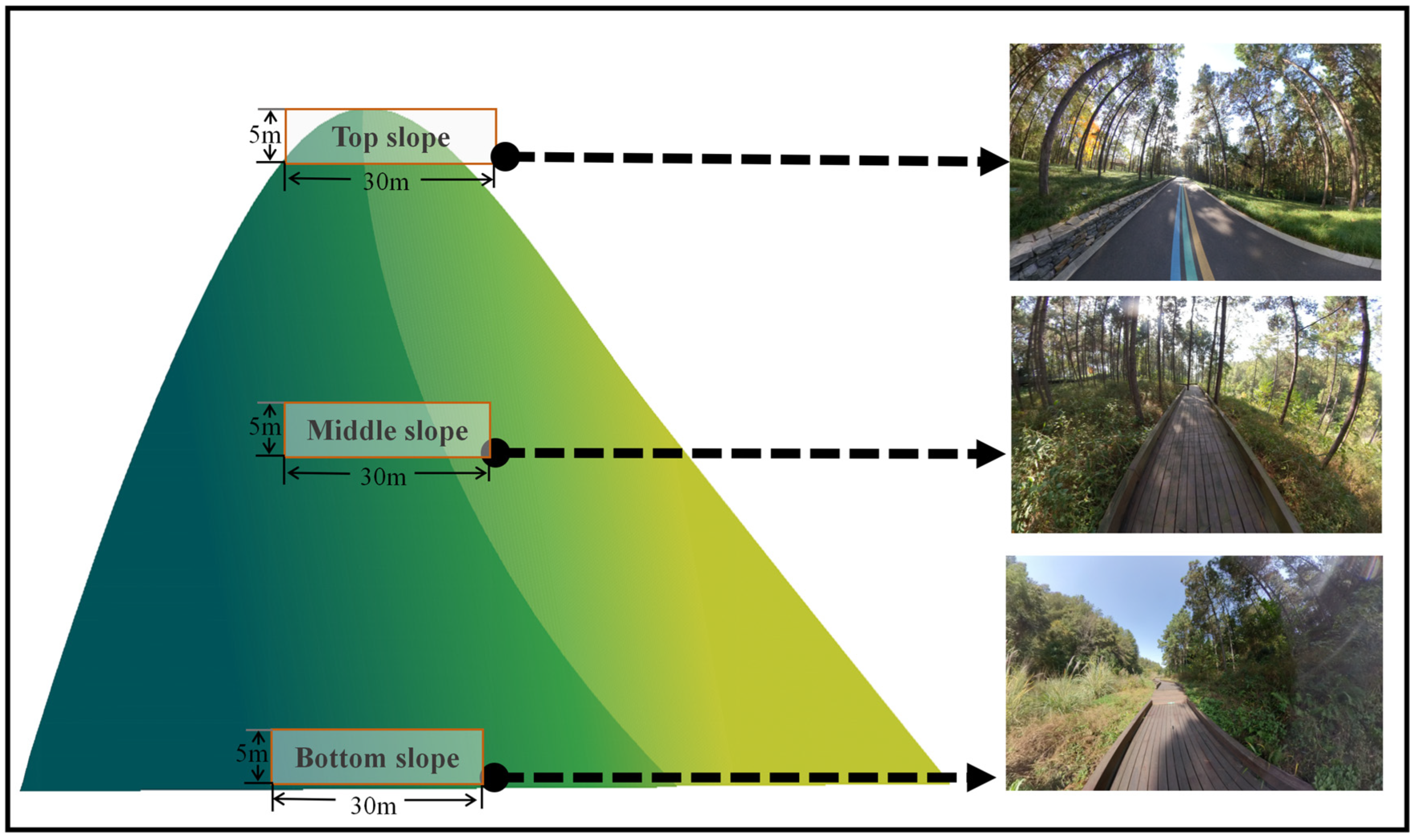 Forests 16 00653 g003