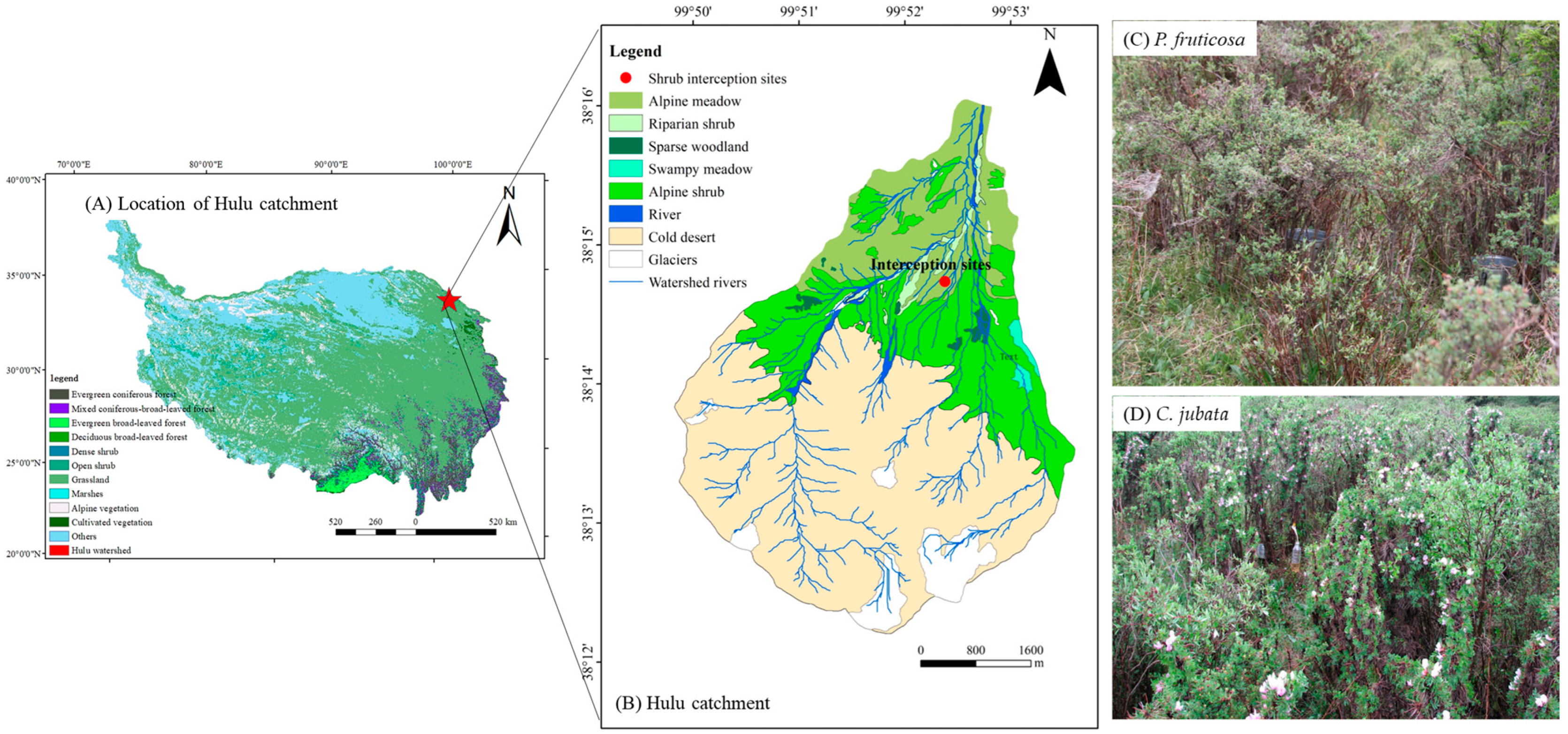 Forests 16 00658 g001