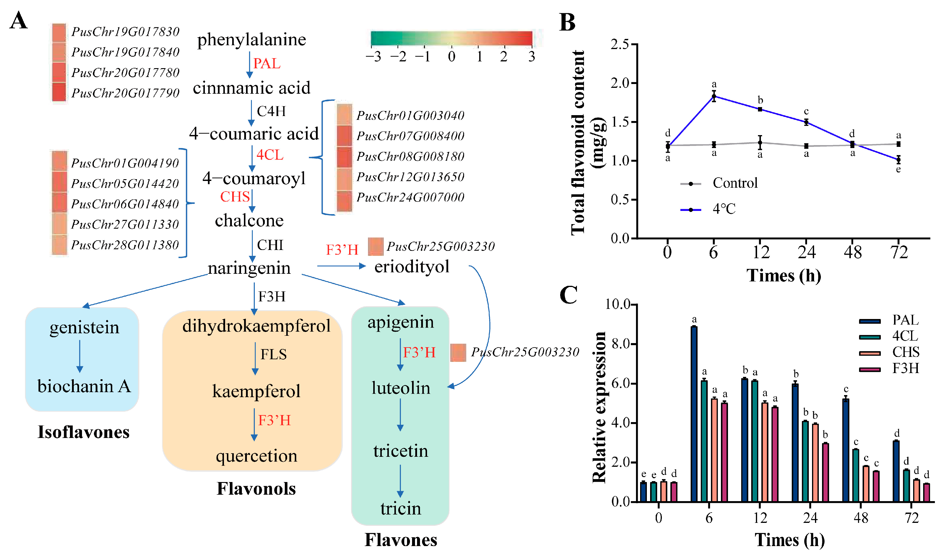 Forests 16 00660 g007