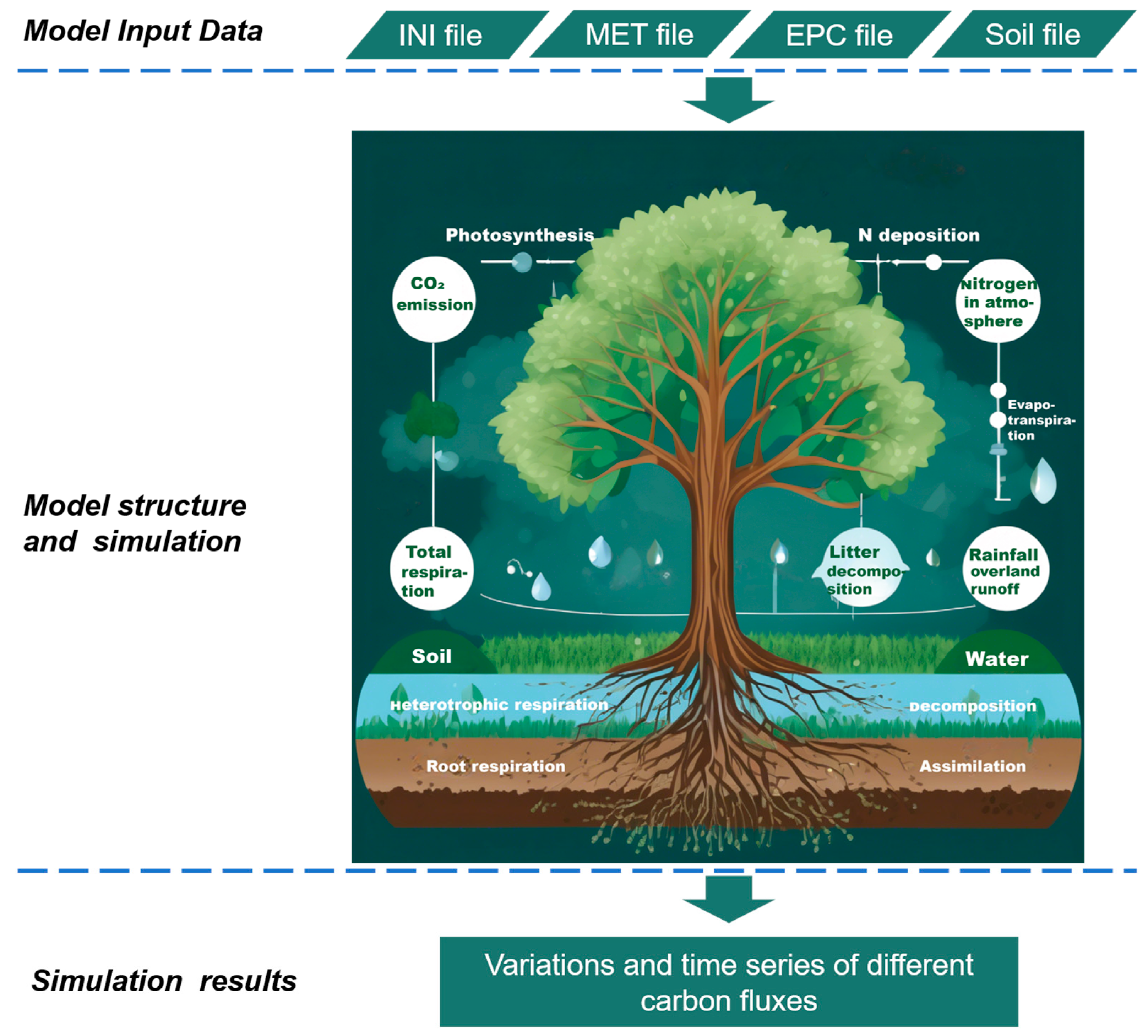 Forests 16 00661 g001