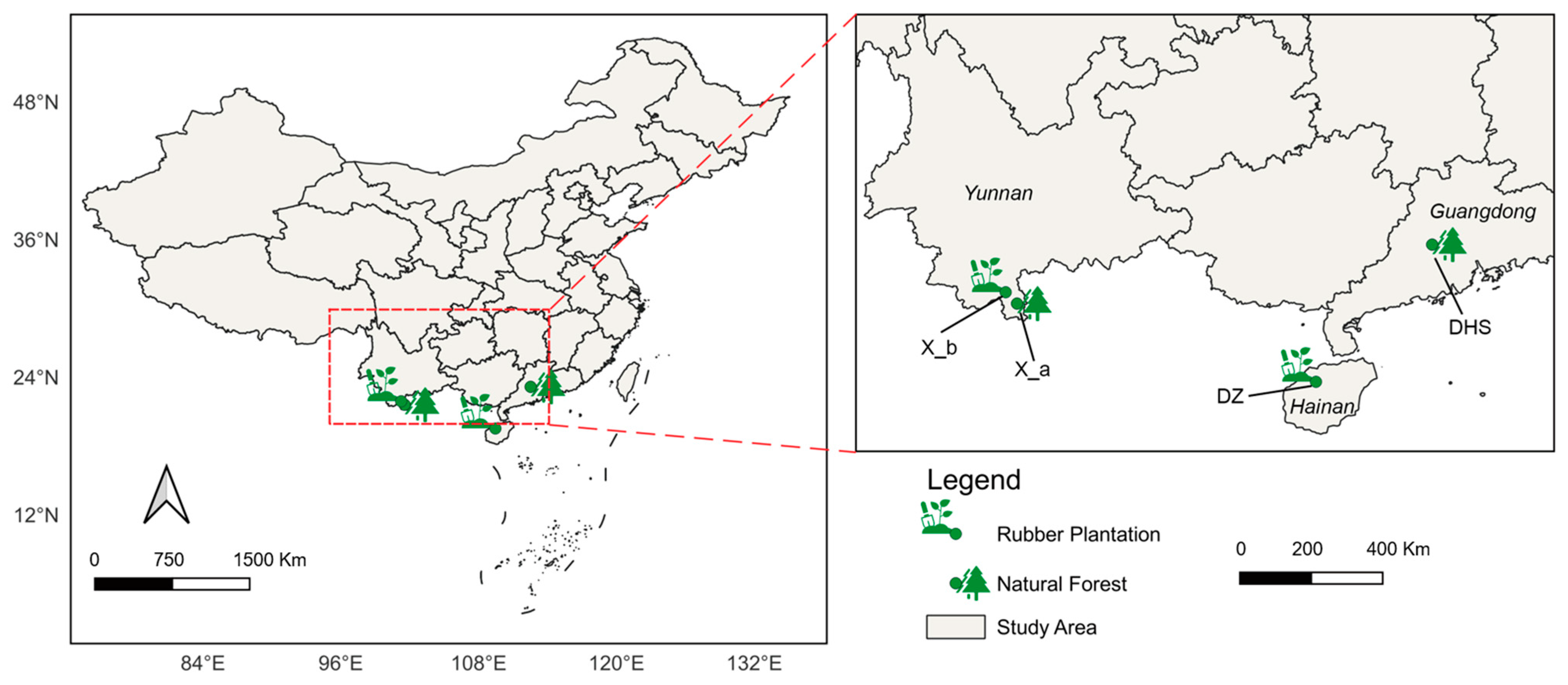 Forests 16 00661 g002