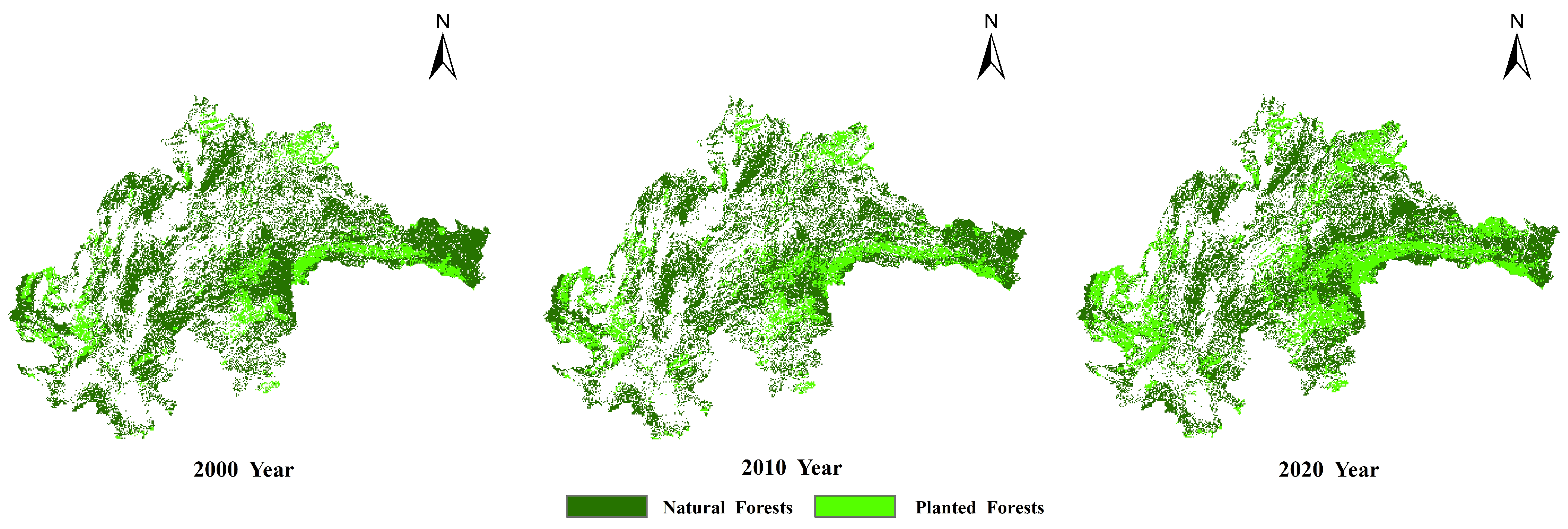 Forests 16 00665 g002