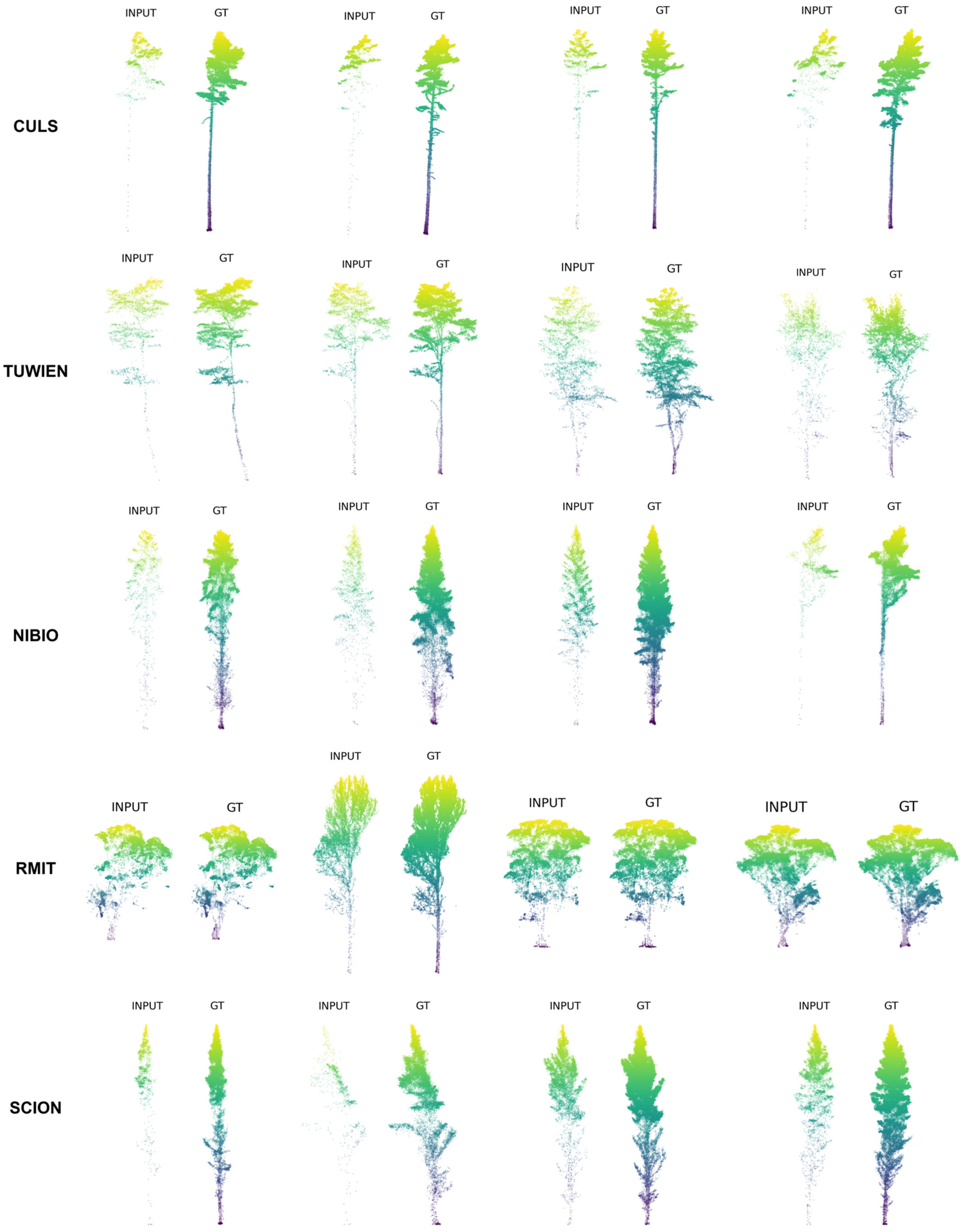 Forests 16 00667 g002