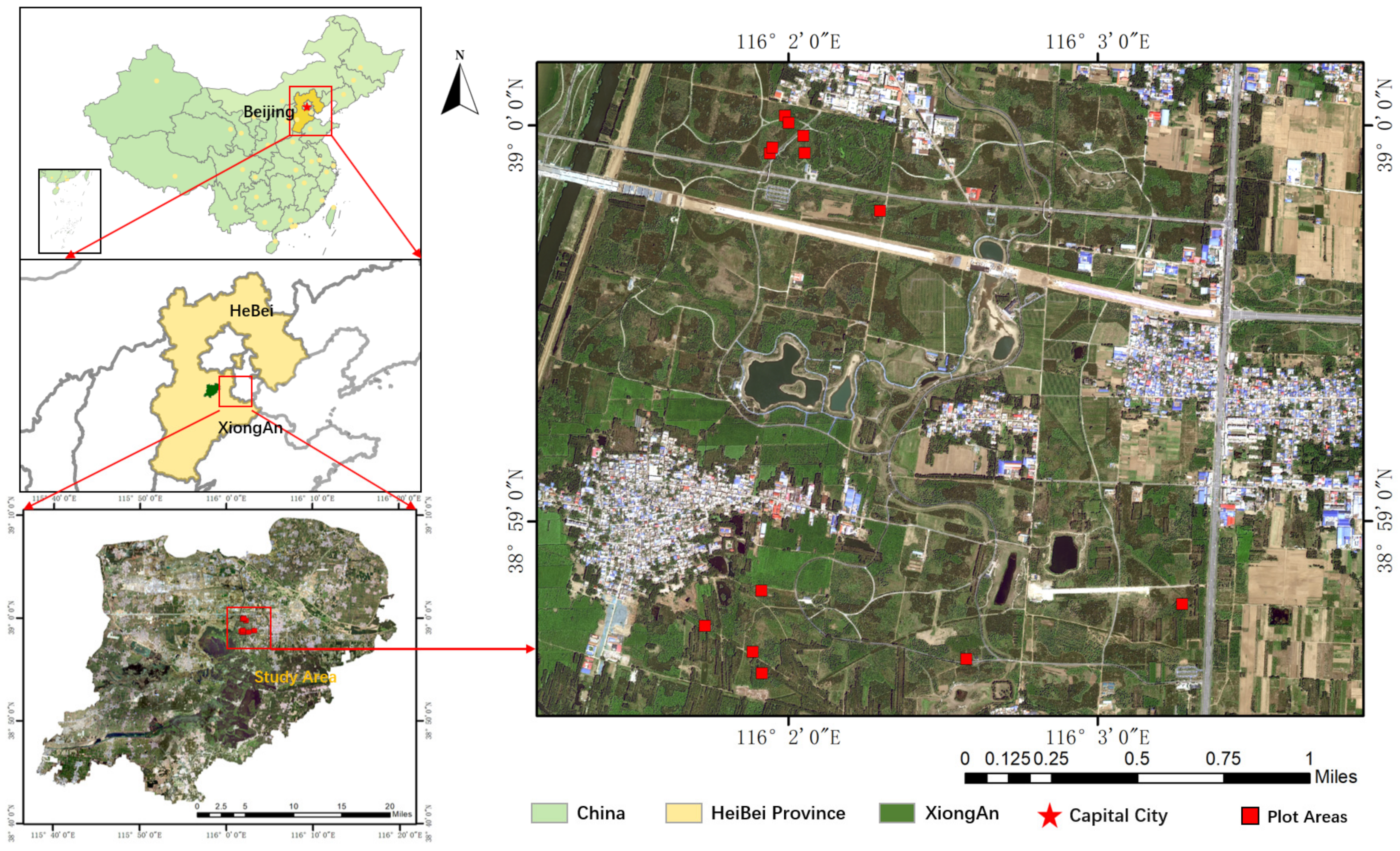 Forests 16 00667 g003