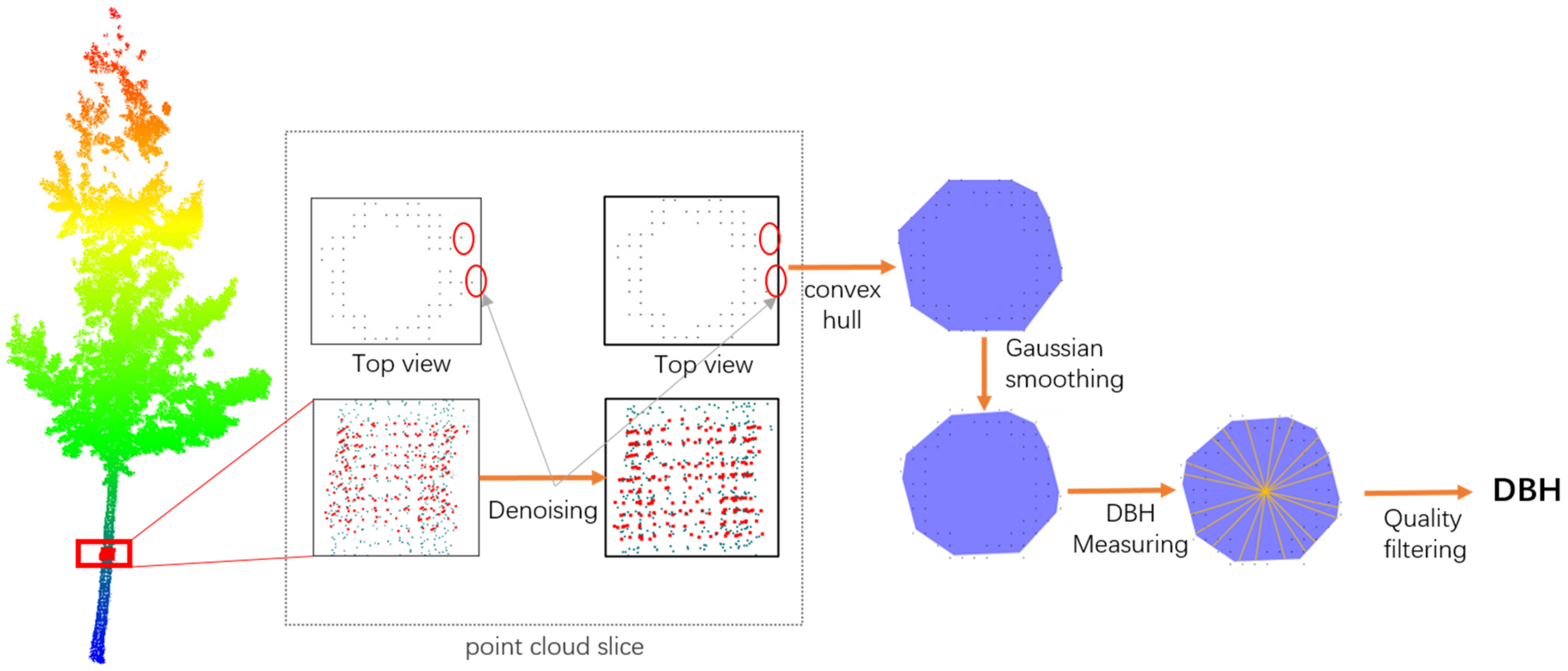 Forests 16 00667 g008