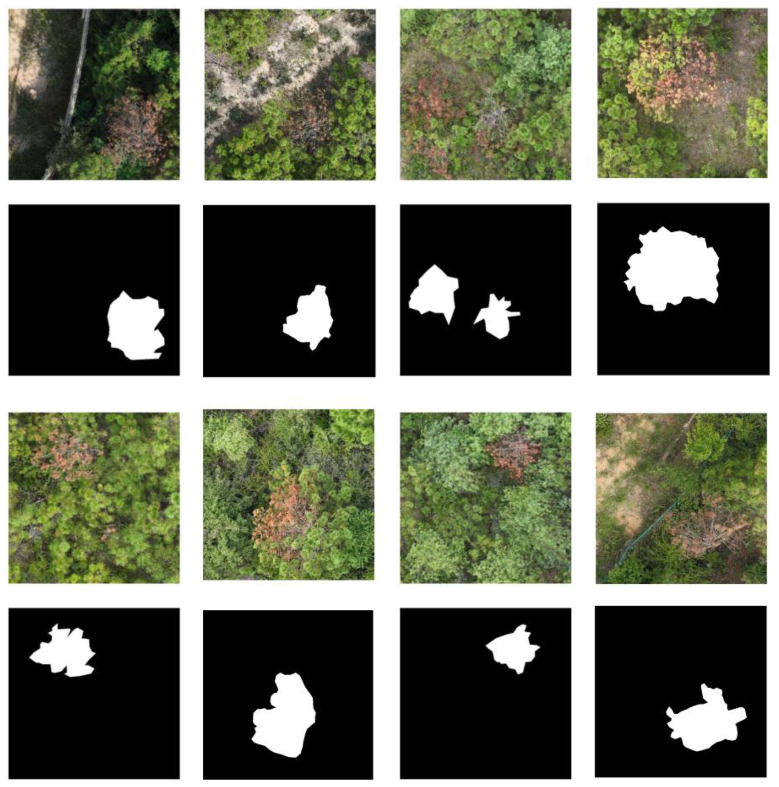 Forests 16 00668 g003