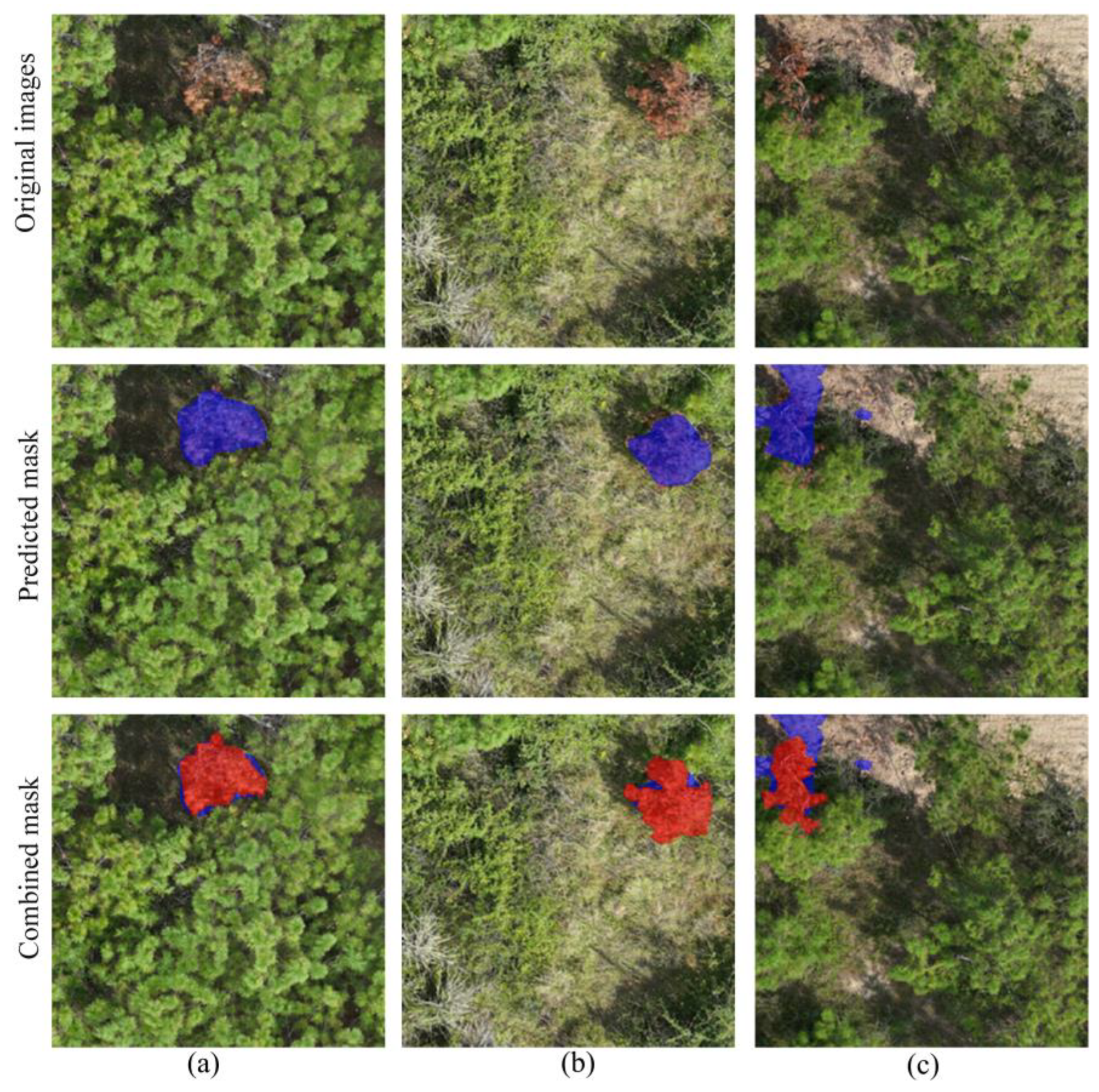 Forests 16 00668 g008