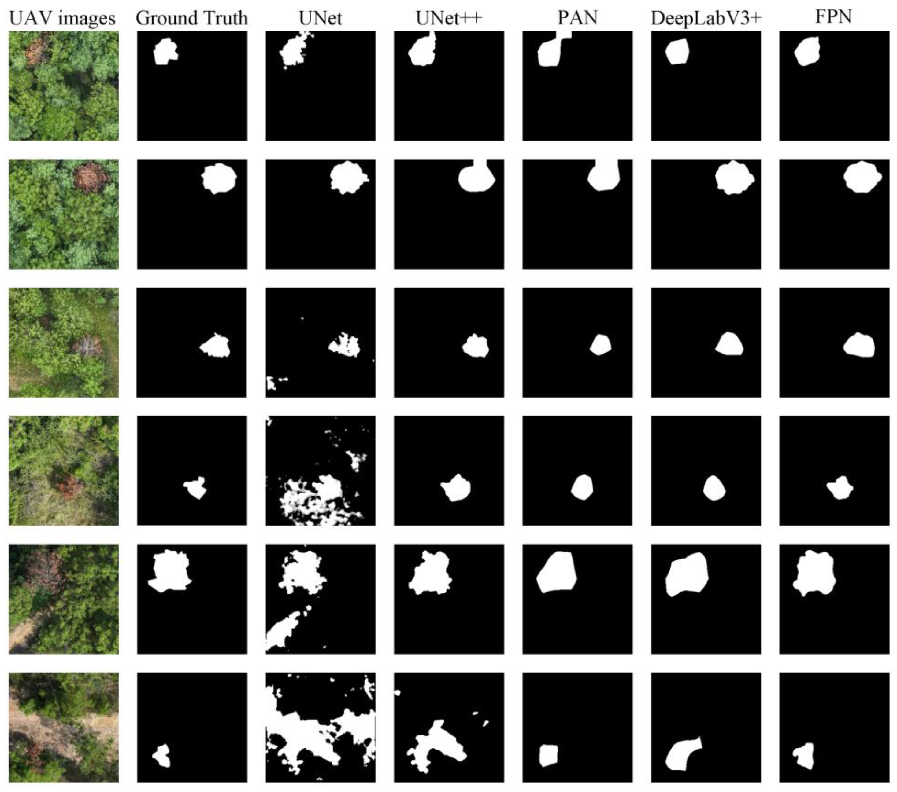 Forests 16 00668 g009