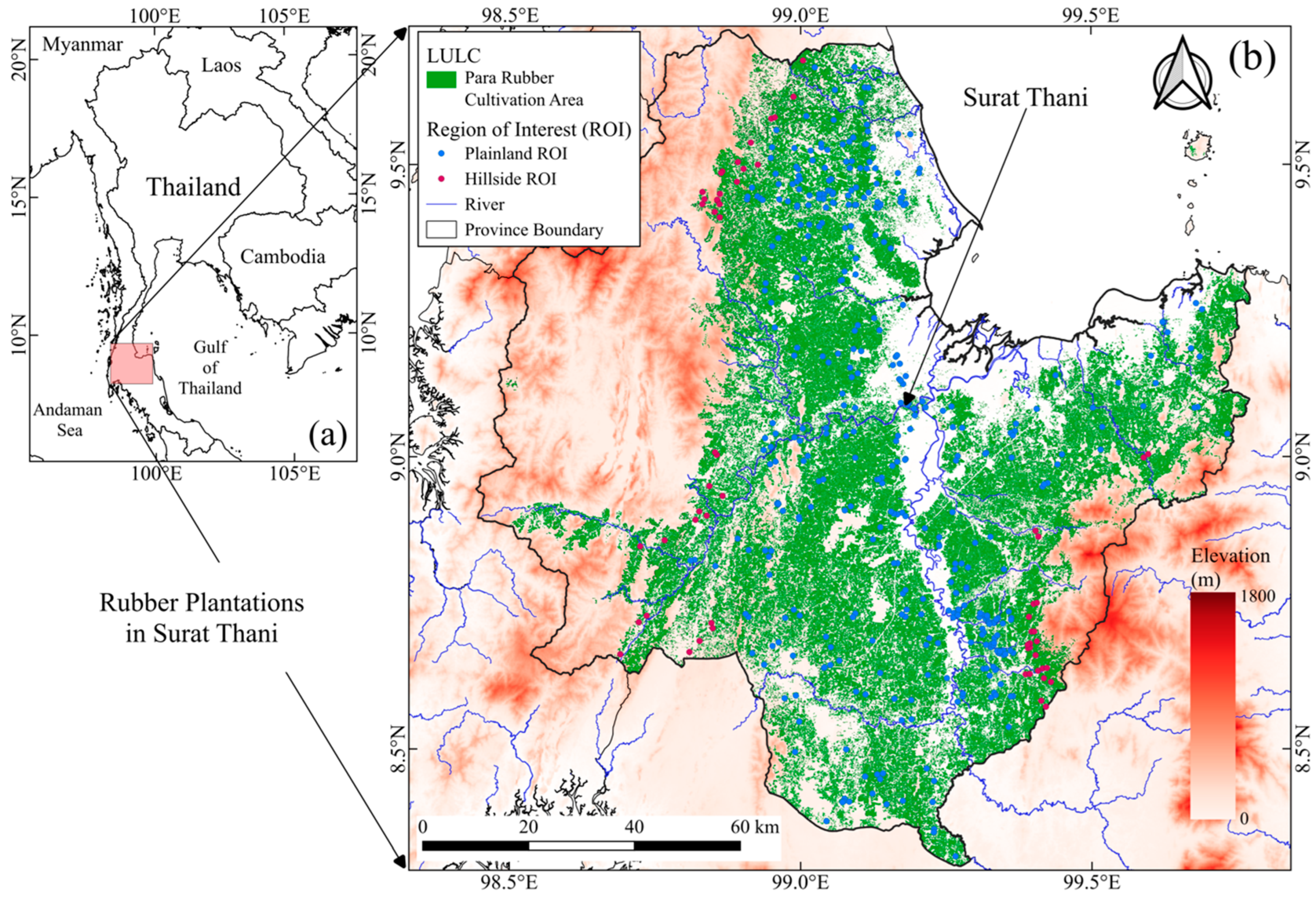 Forests 16 00672 g001
