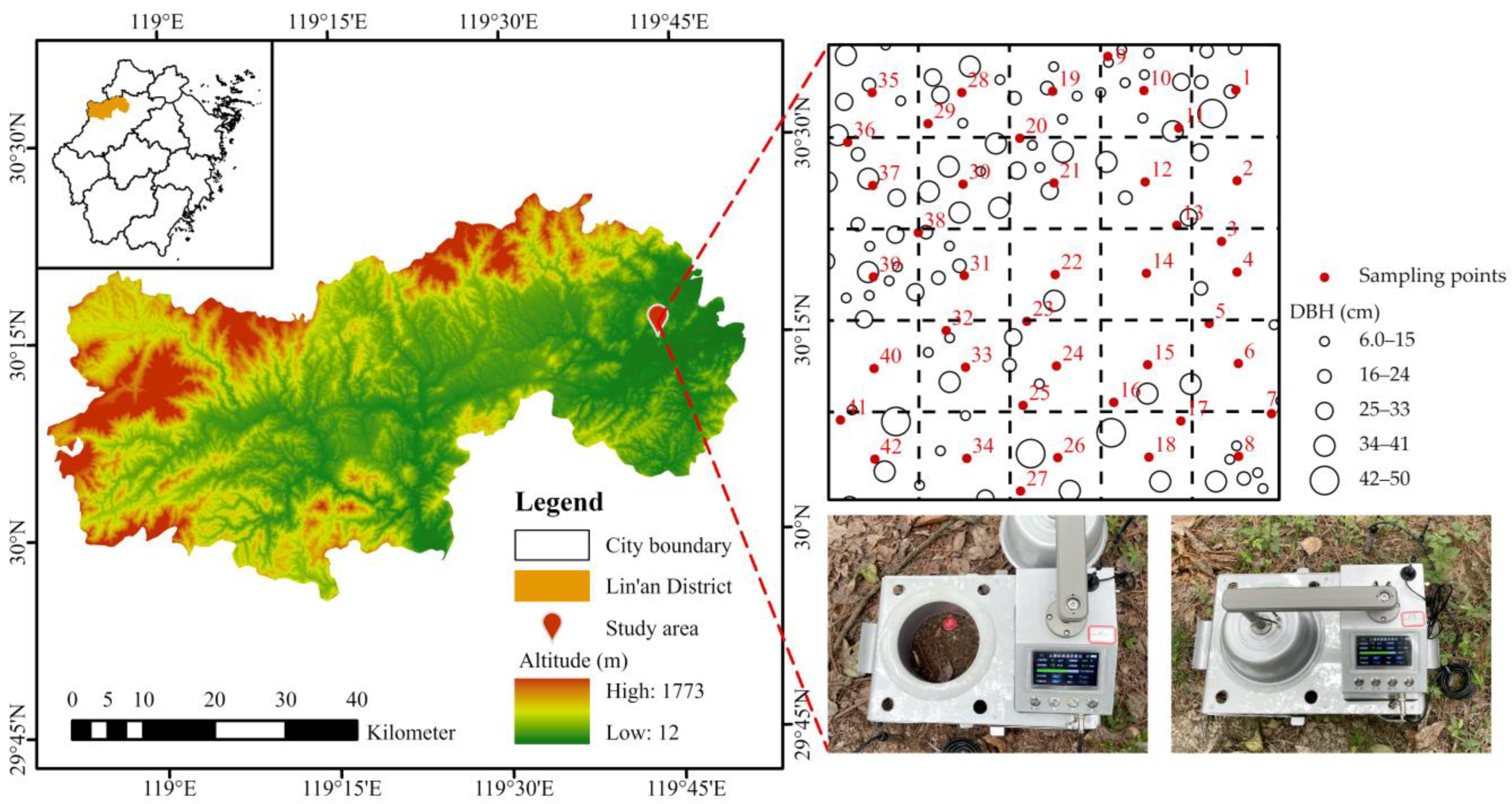 Forests 16 00678 g001
