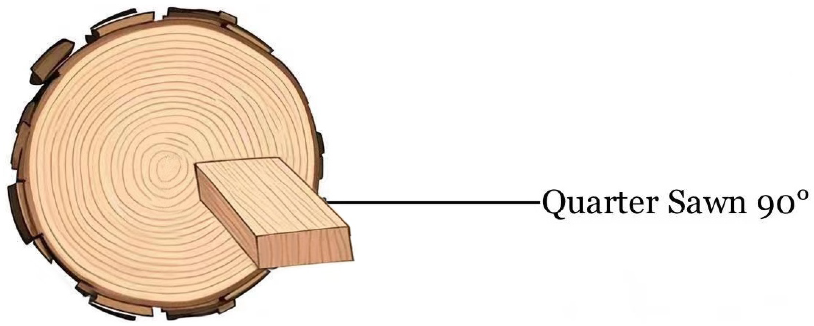 Forests 16 00680 g001 Forests 16 00680 g001