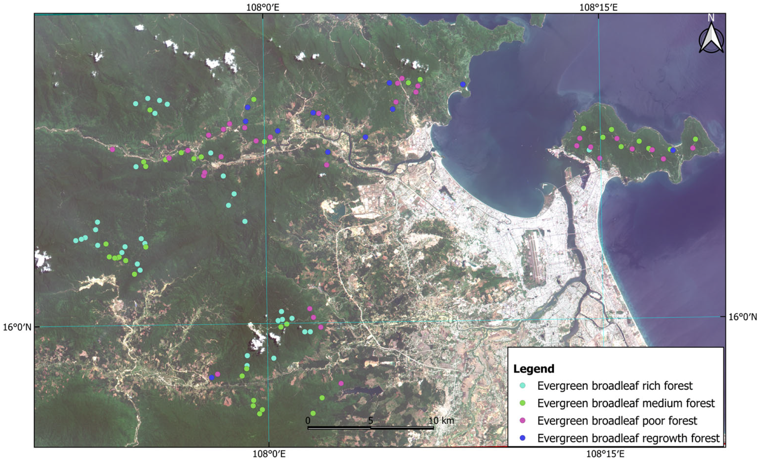Forests 16 00686 g002