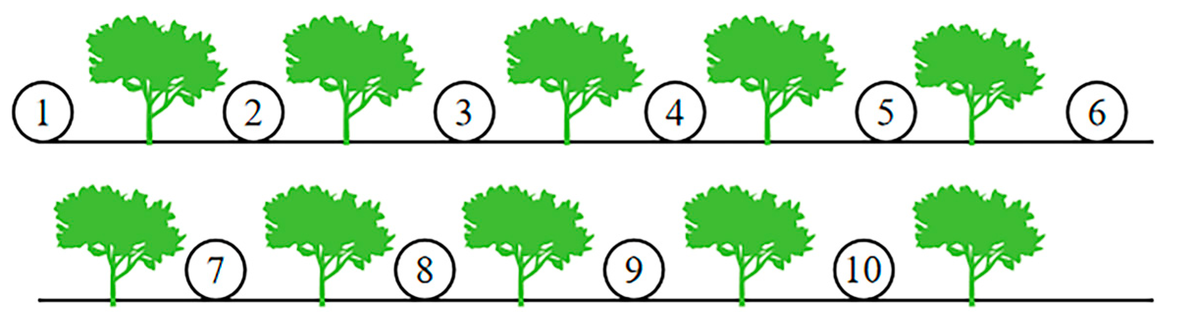 Forests 16 00690 g002