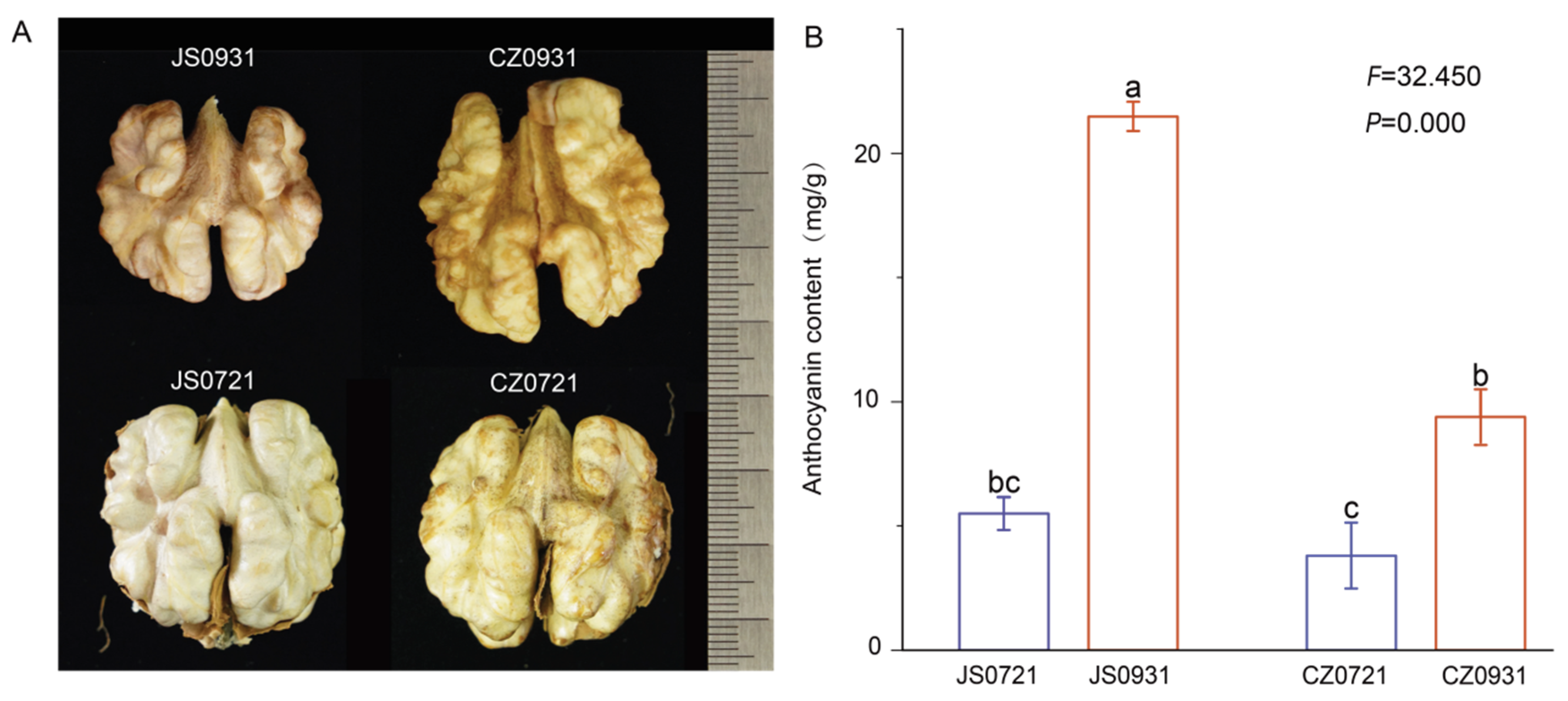Forests 16 00691 g001