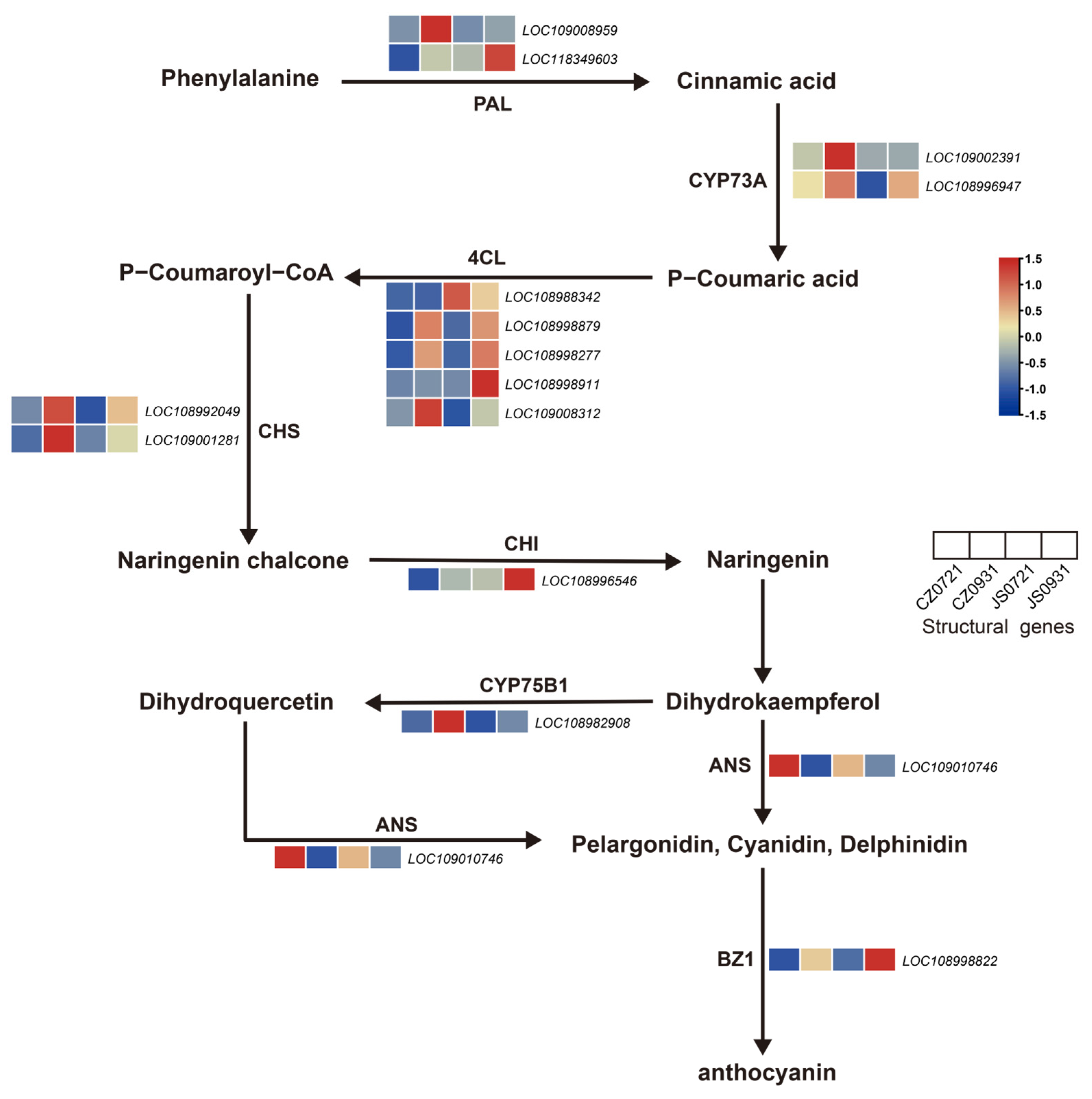 Forests 16 00691 g005