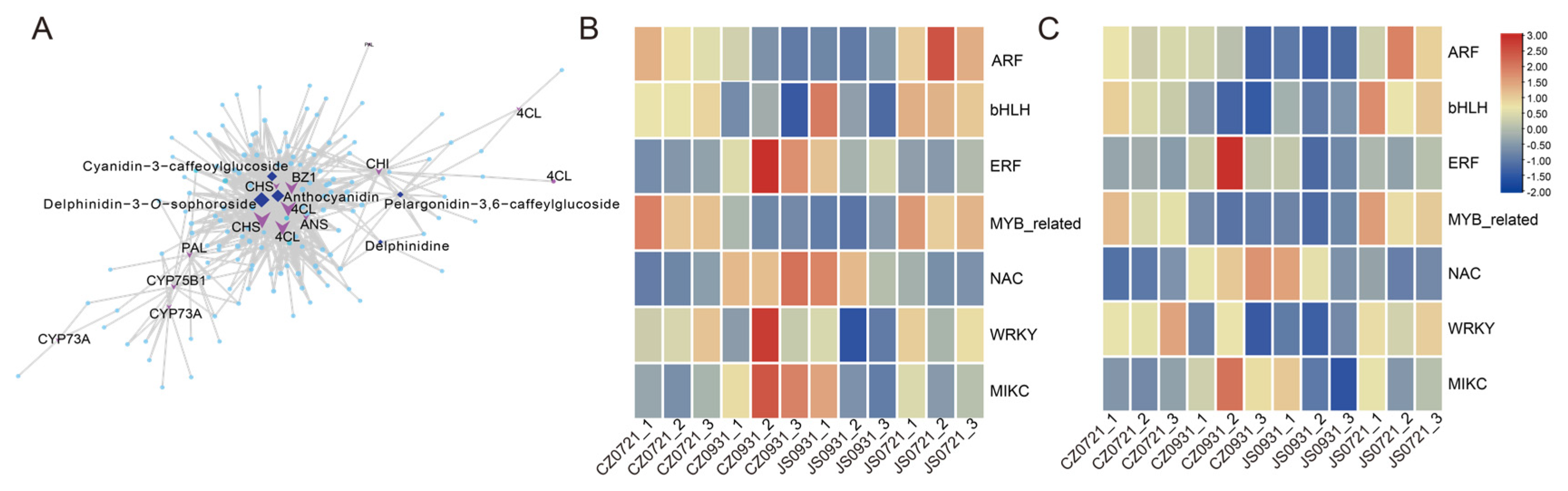 Forests 16 00691 g006