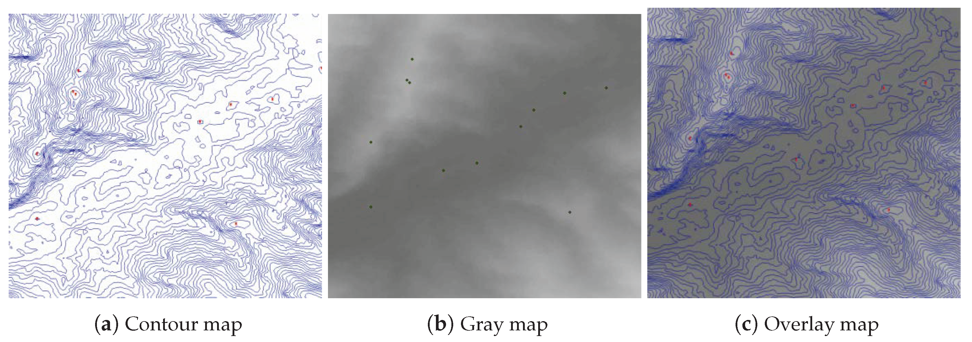 Forests 16 00692 g008