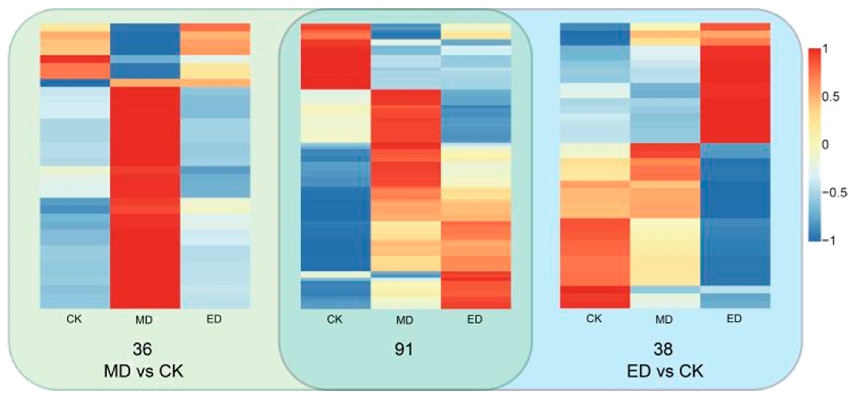 Forests 16 00695 g008