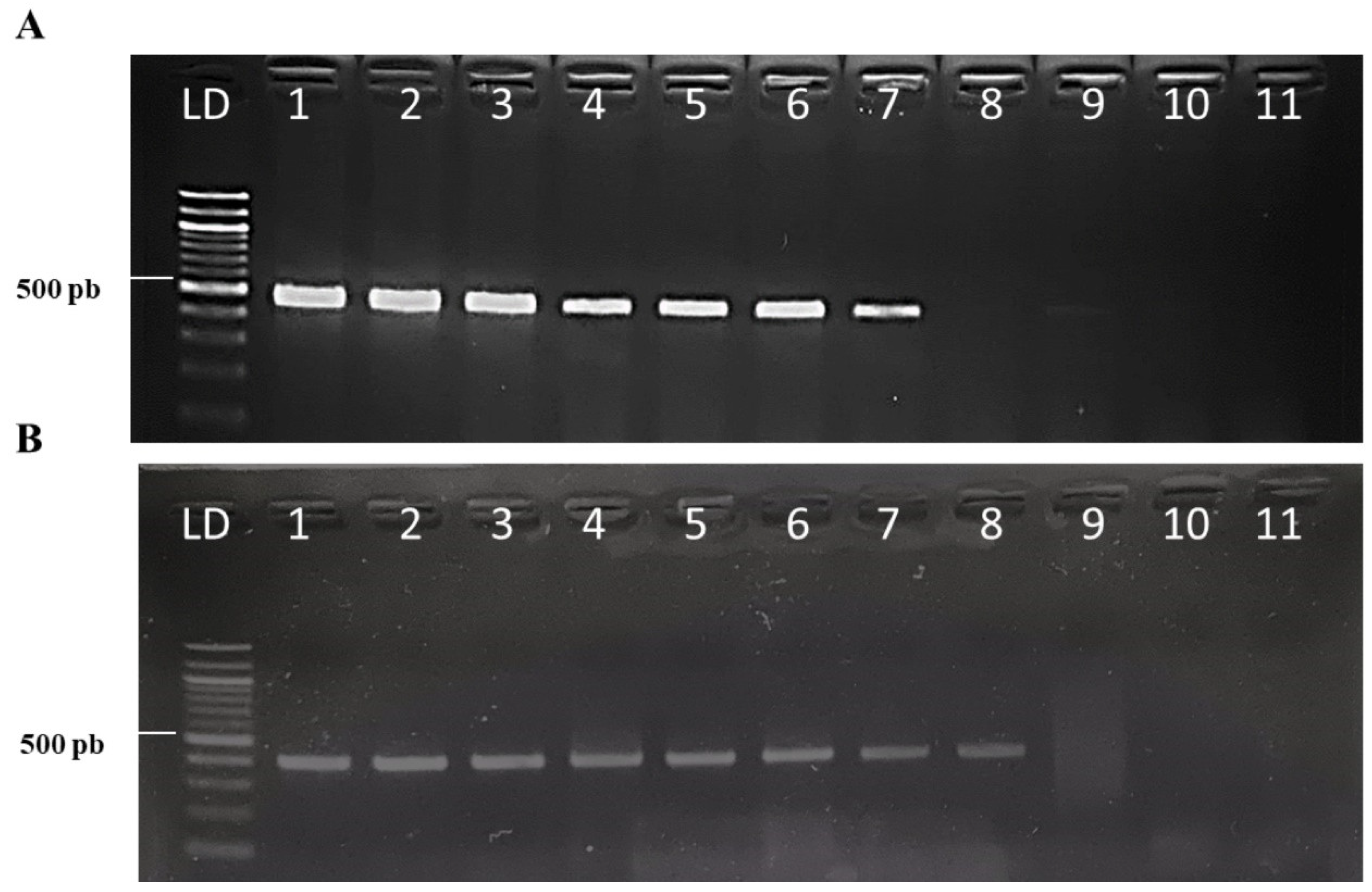 Forests 16 00697 g003