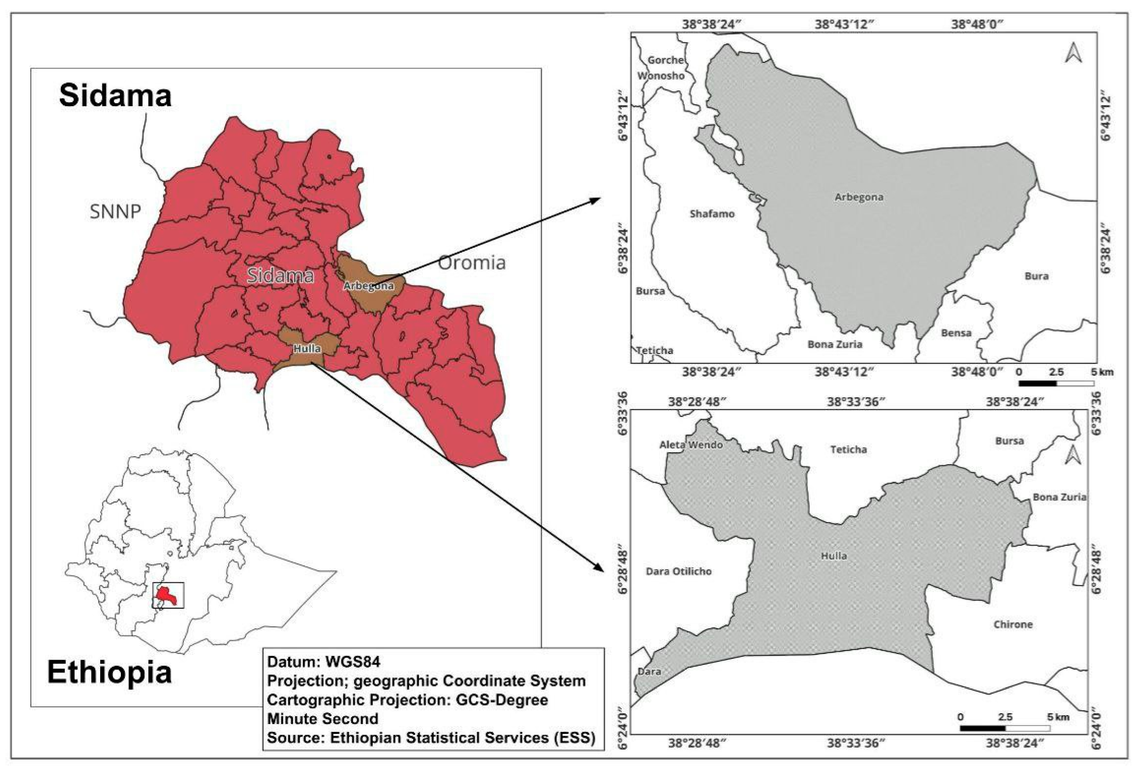 Forests 16 00701 g001