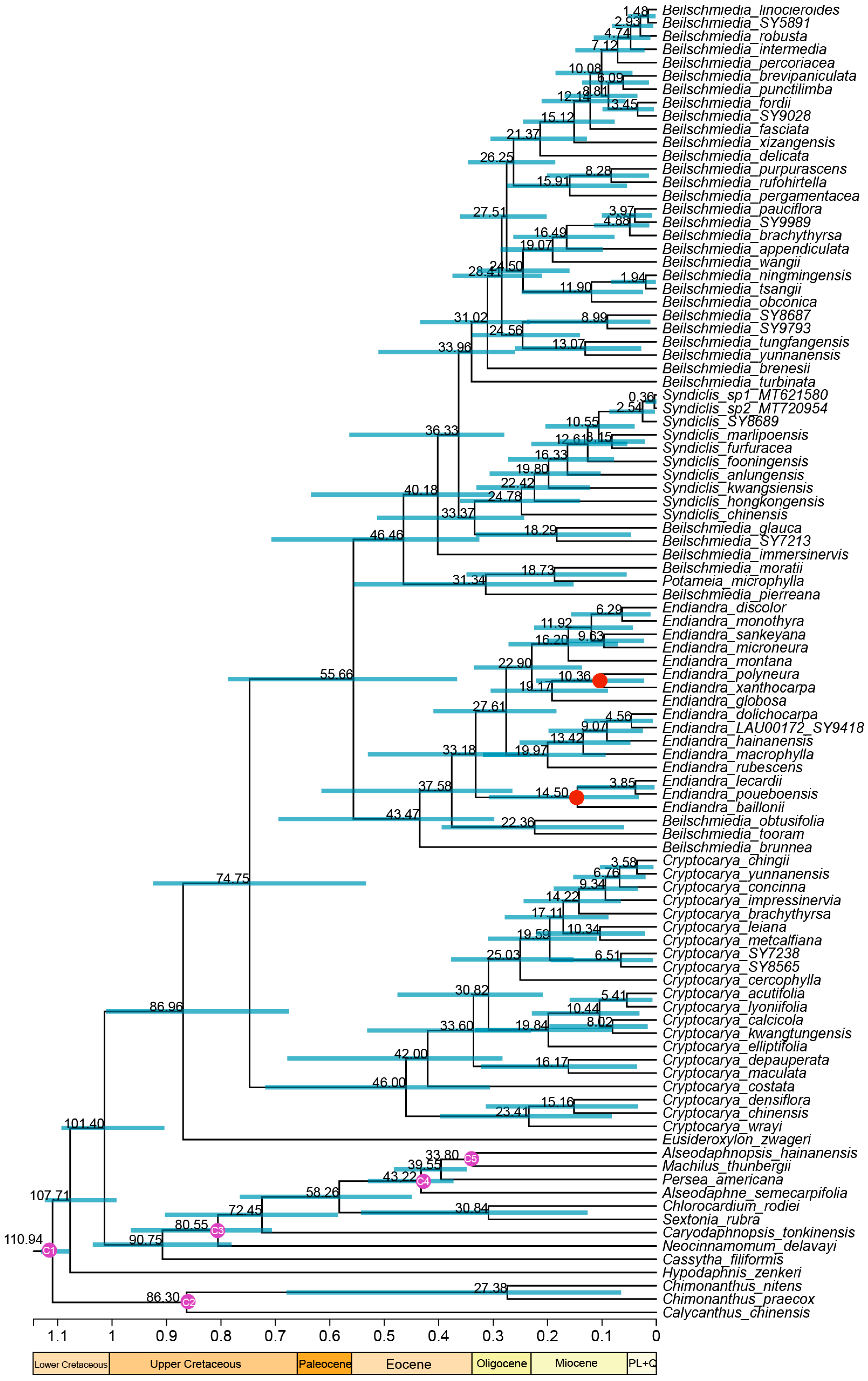 Forests 16 00705 g003