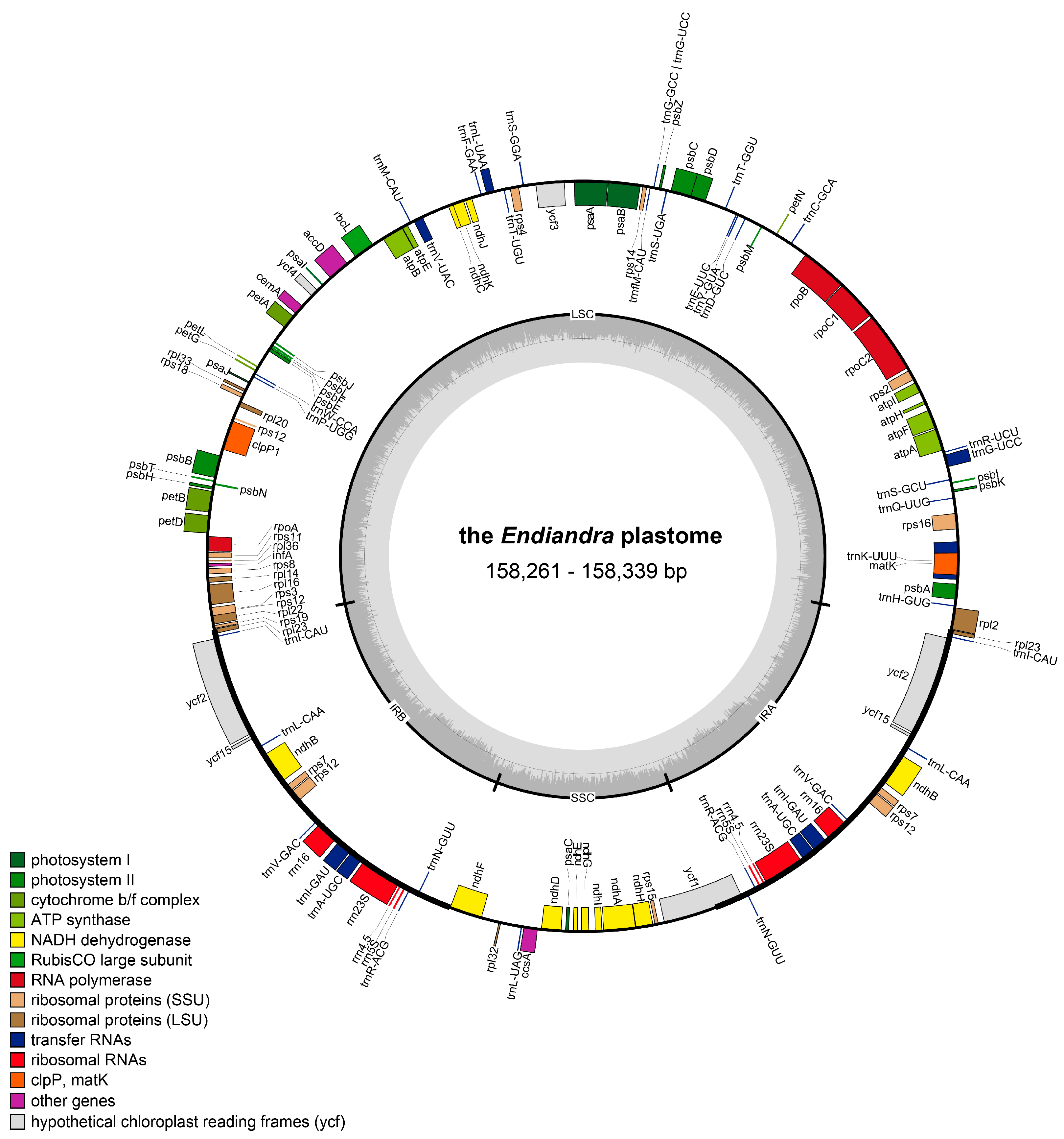 Forests 16 00705 g004