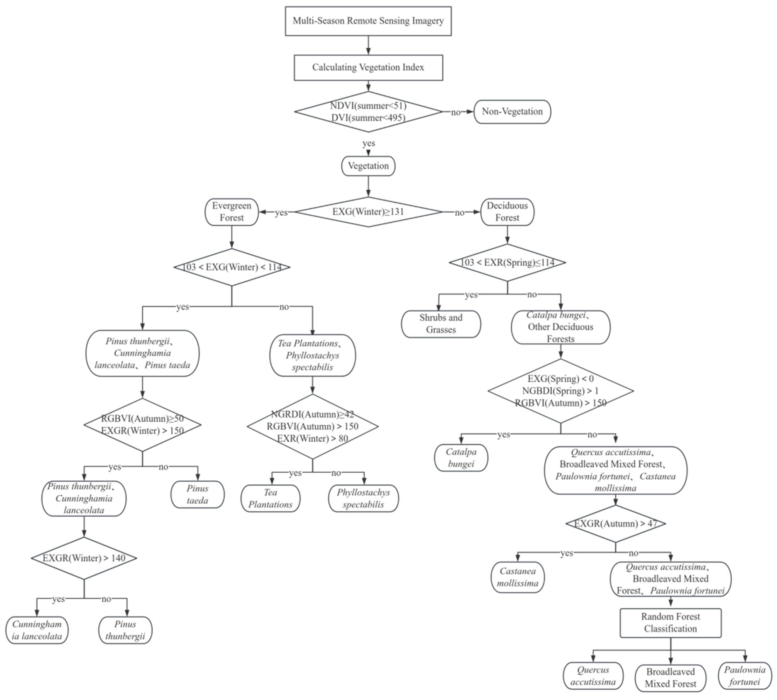 Forests 16 00707 g006