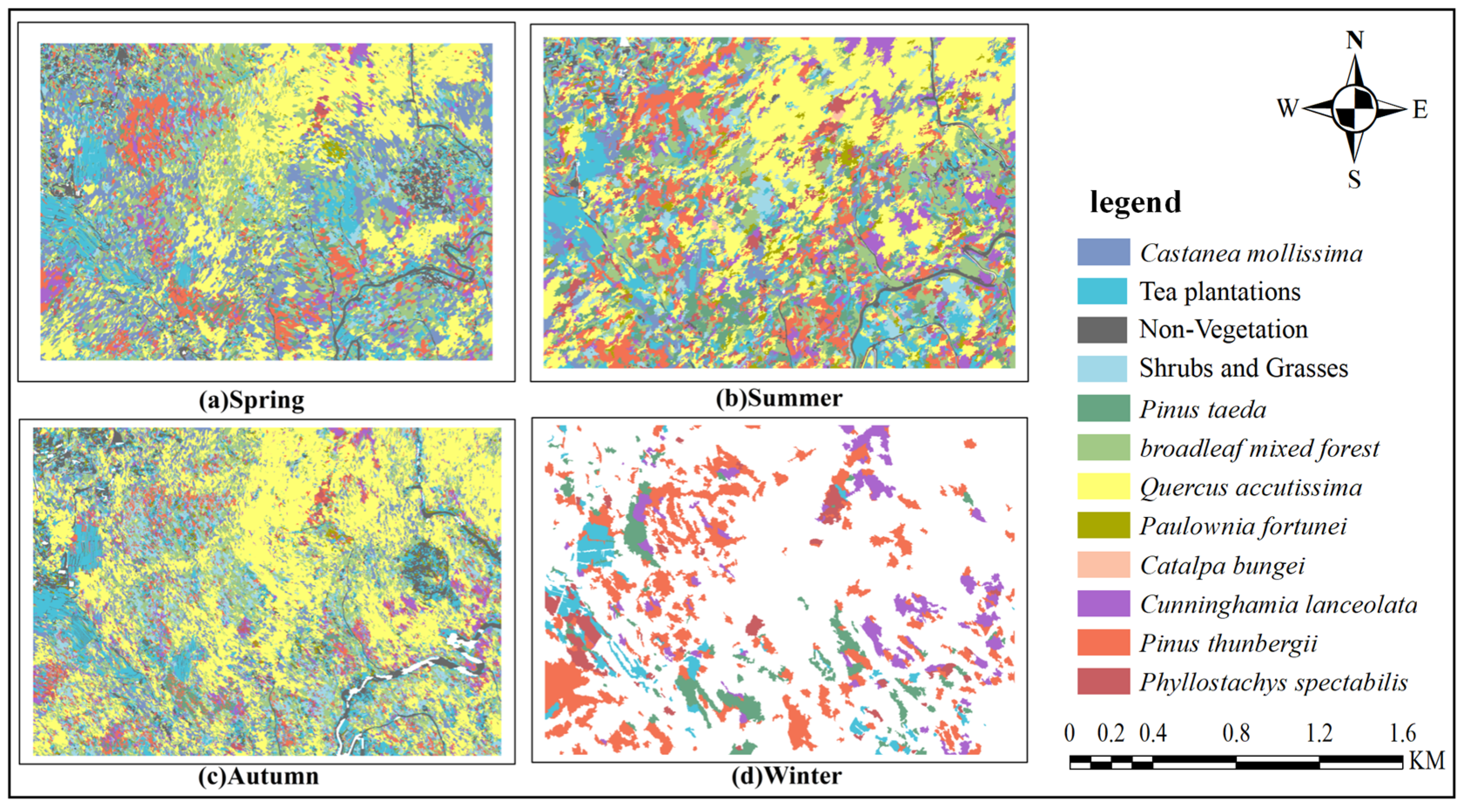 Forests 16 00707 g008