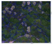 Forests 16 00707 i016