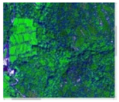 Forests 16 00707 i018