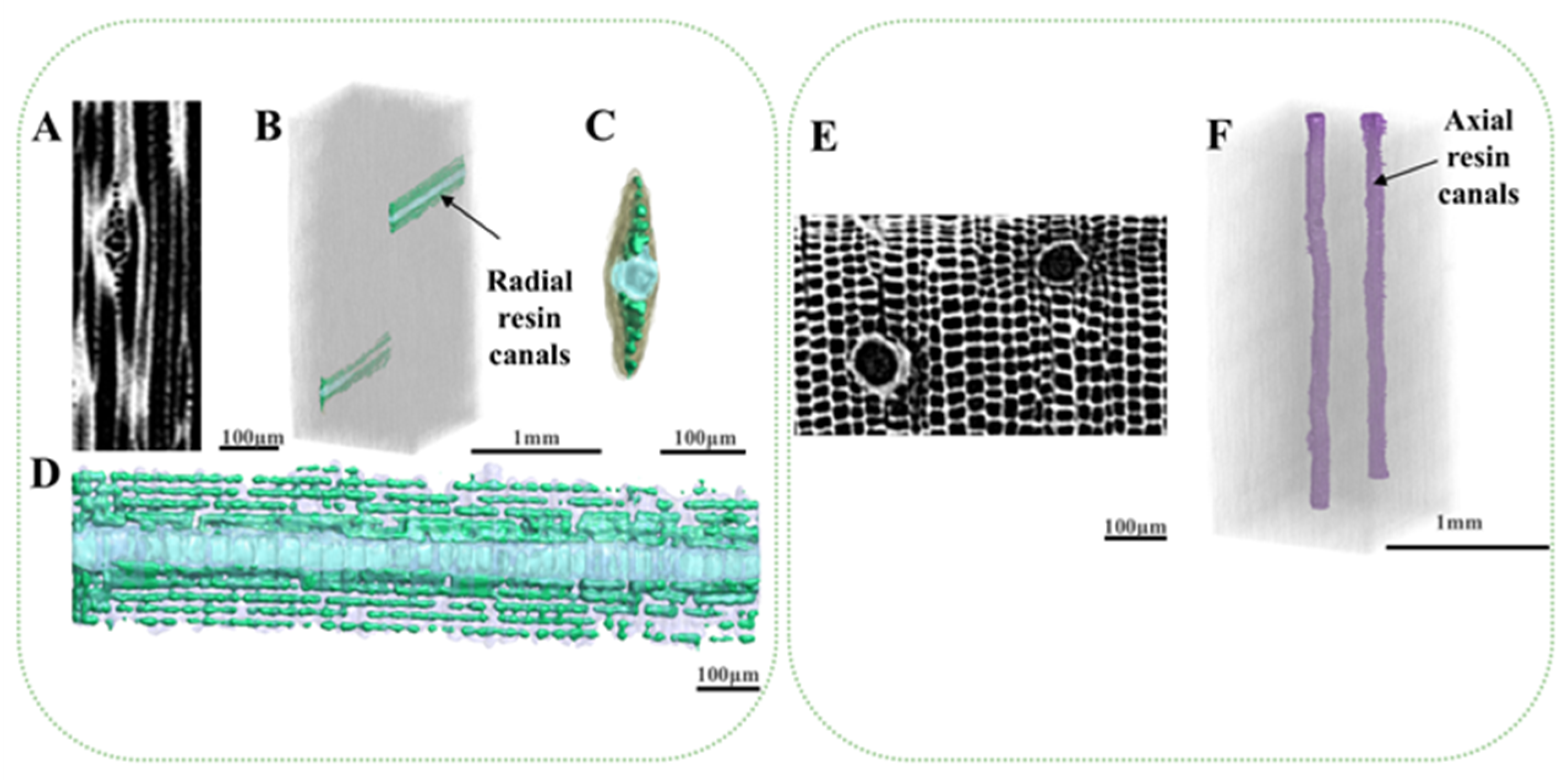 Forests 16 00710 g007