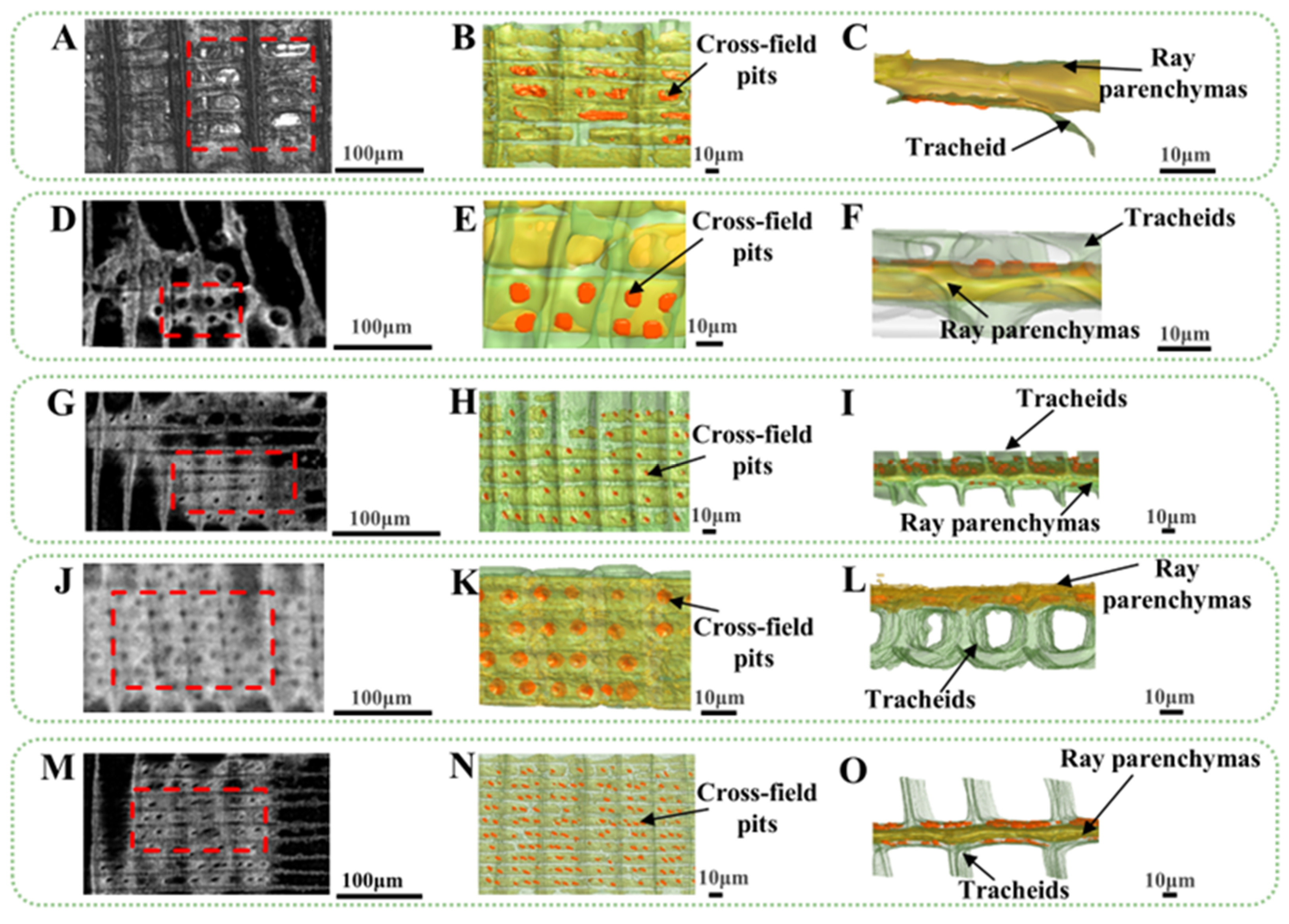 Forests 16 00710 g012