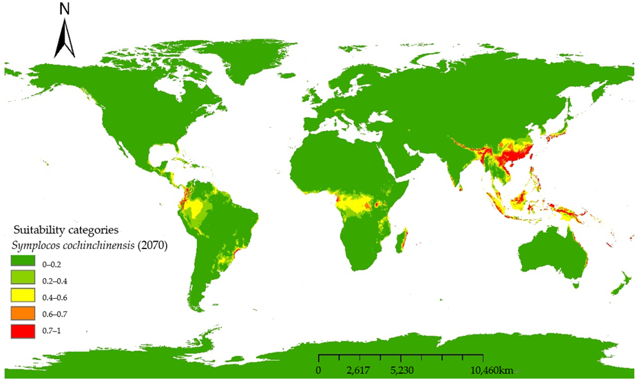 Forests 16 00715 g007