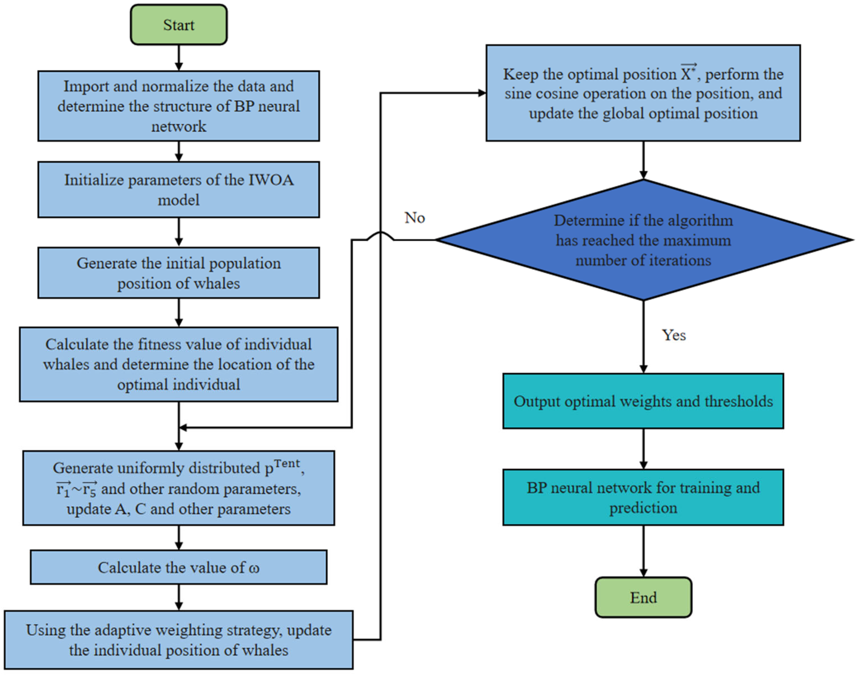 Forests 16 00716 g003