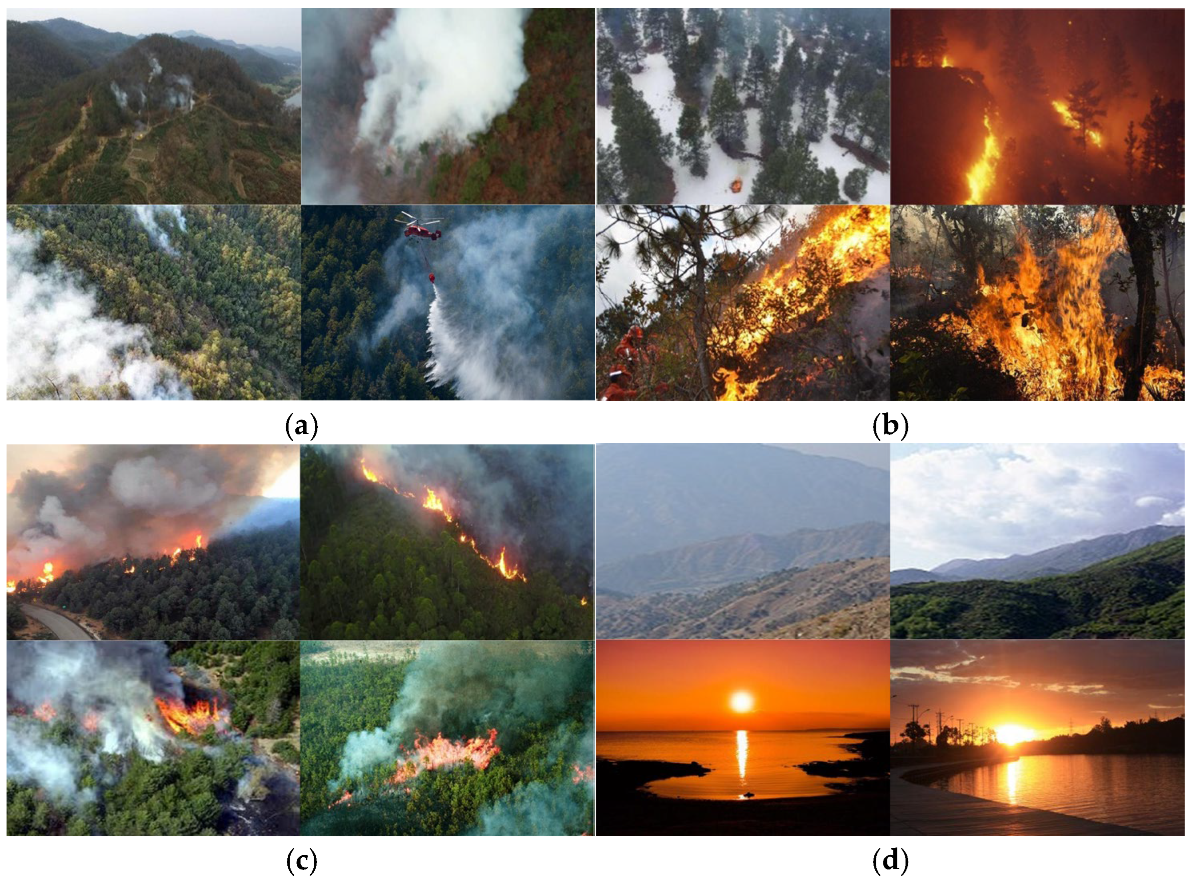 Forests 16 00719 g001