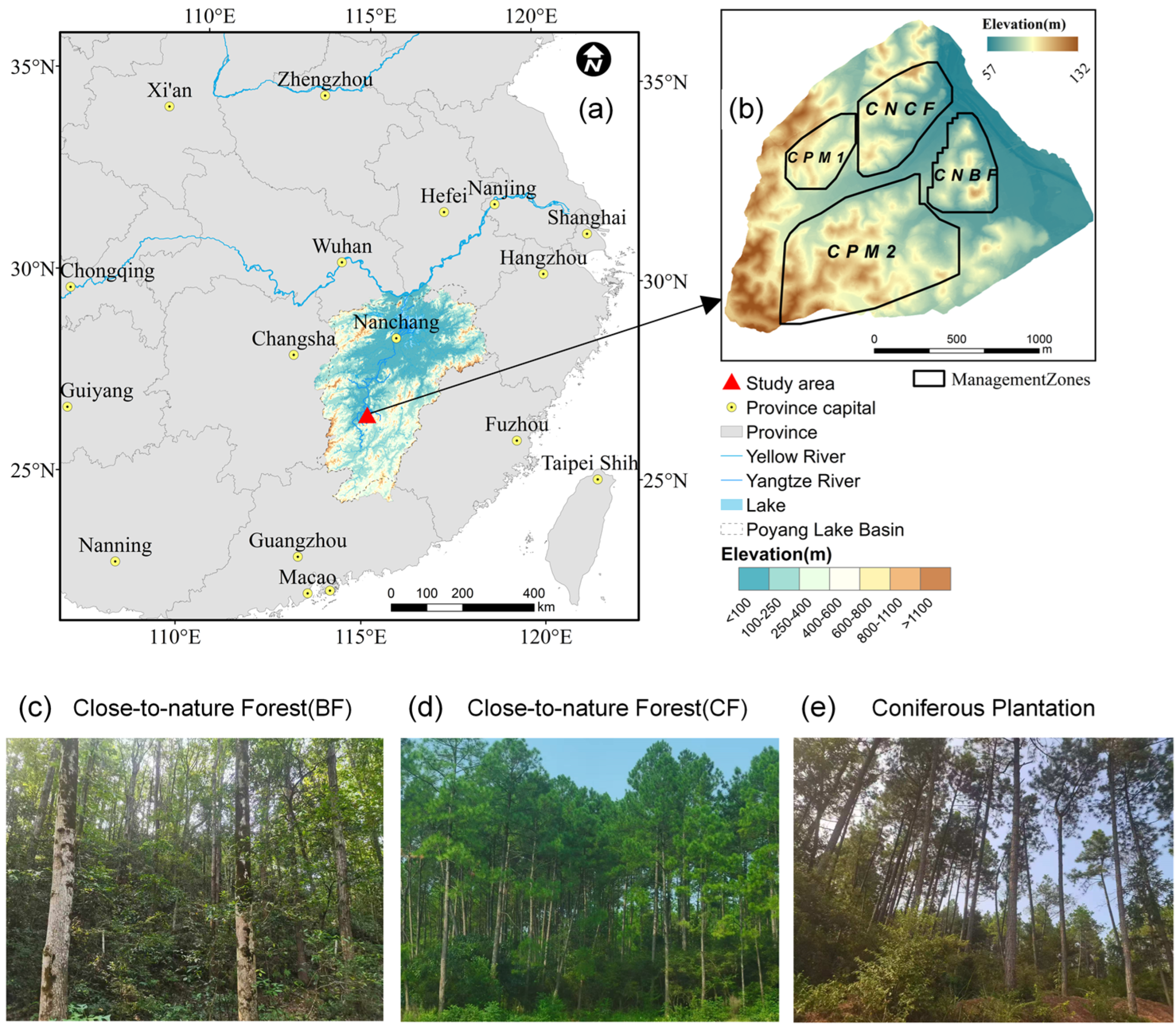 Forests 16 00723 g001
