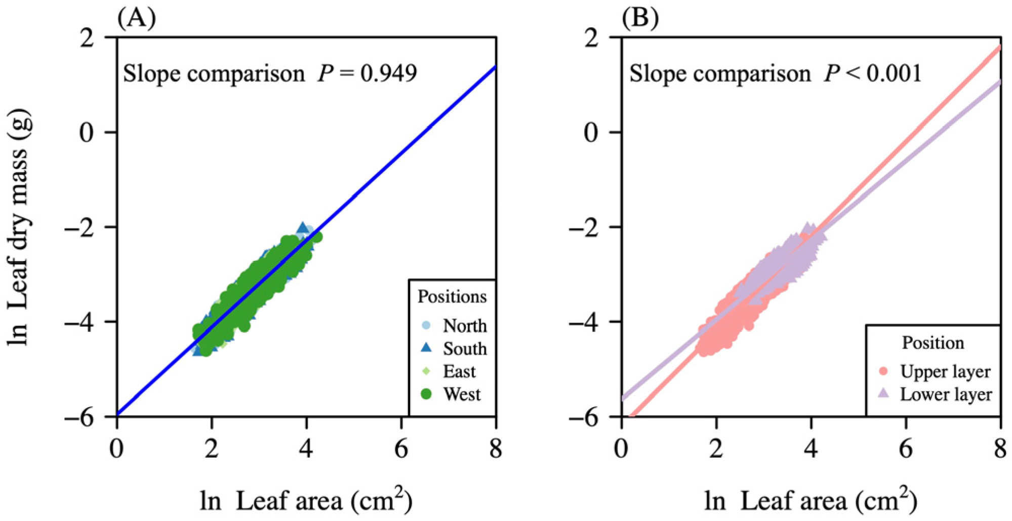 Forests 16 00724 g003