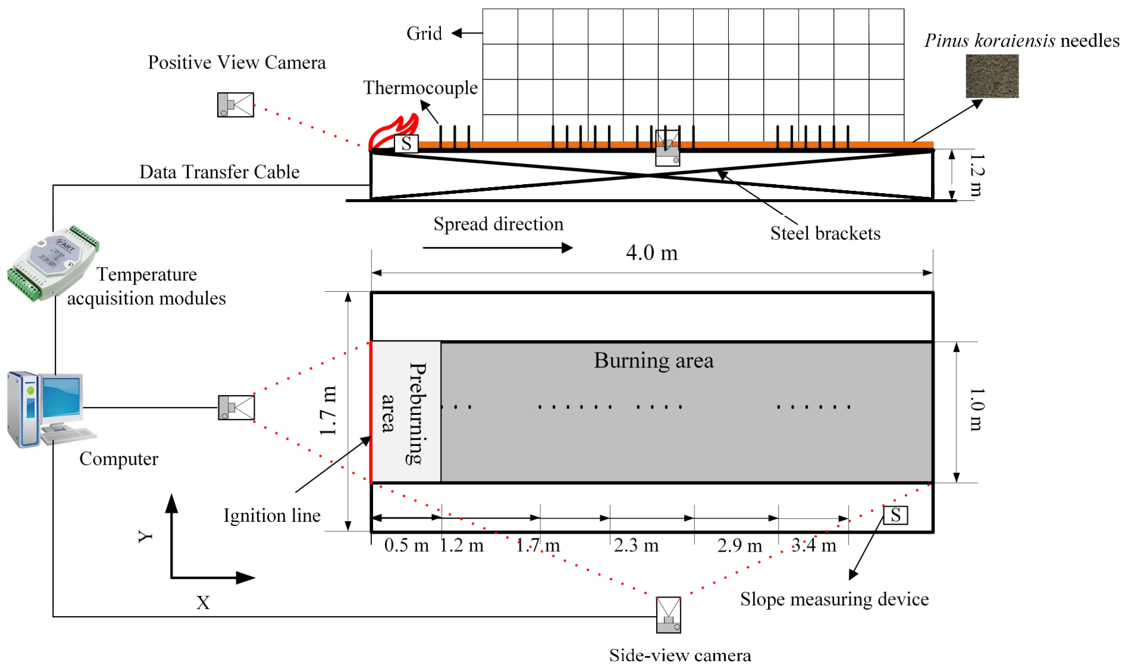 Forests 16 00726 g001