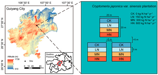 Nitrogen Addition Promotes Soil Carbon Sequestration and
