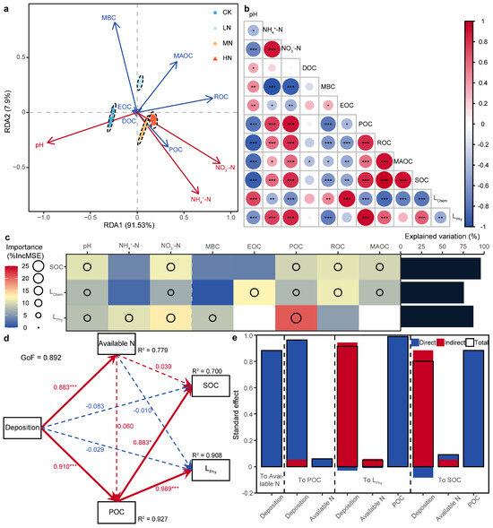 Exposure to manganese during sertoli cell formation and