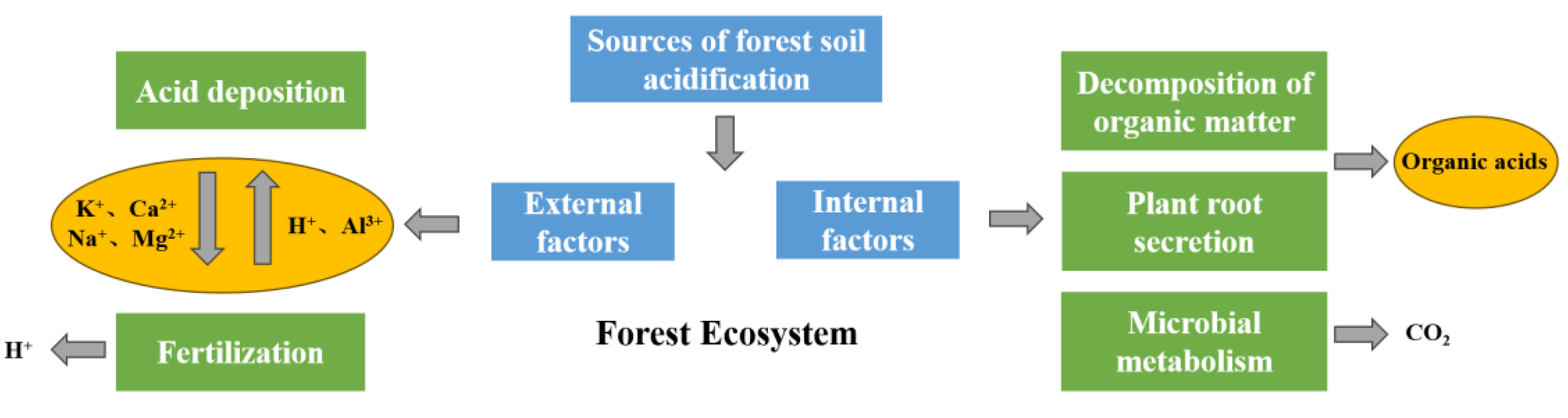 Forests 16 00733 g001