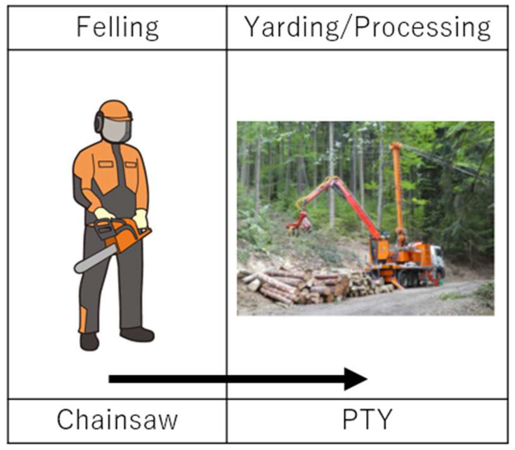 Forests 16 00734 g003