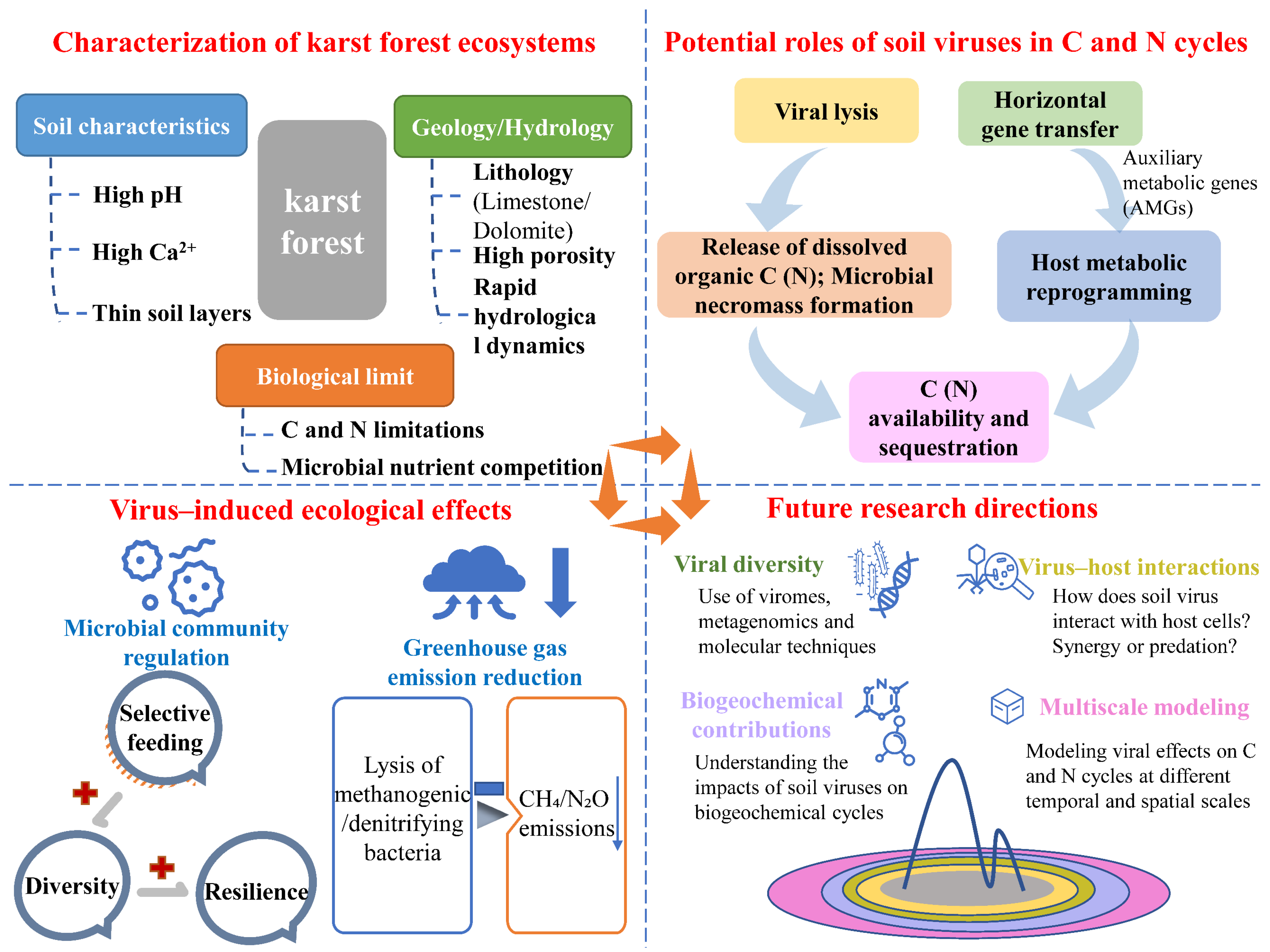 Forests 16 00735 g001