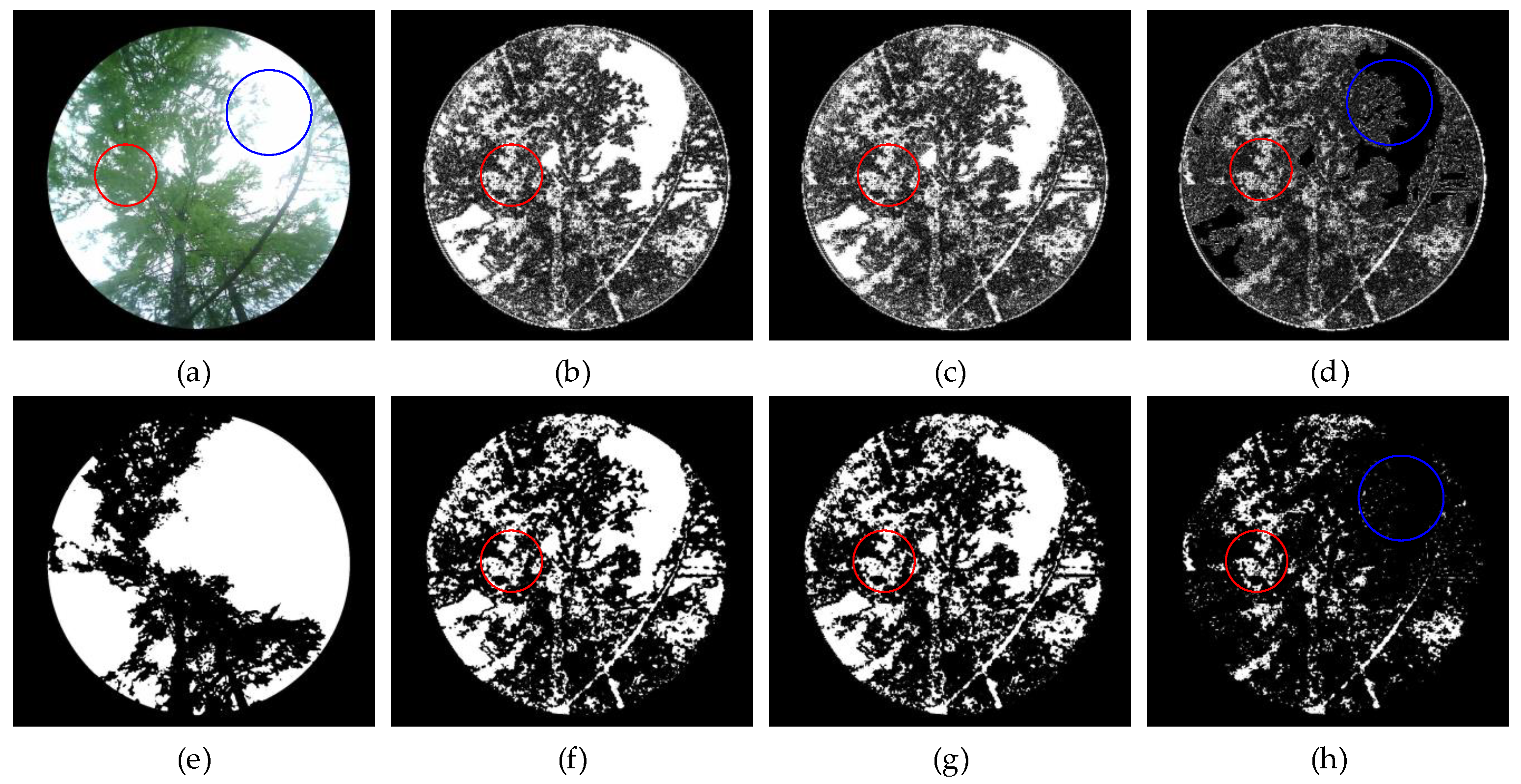 Forests 16 00736 g009