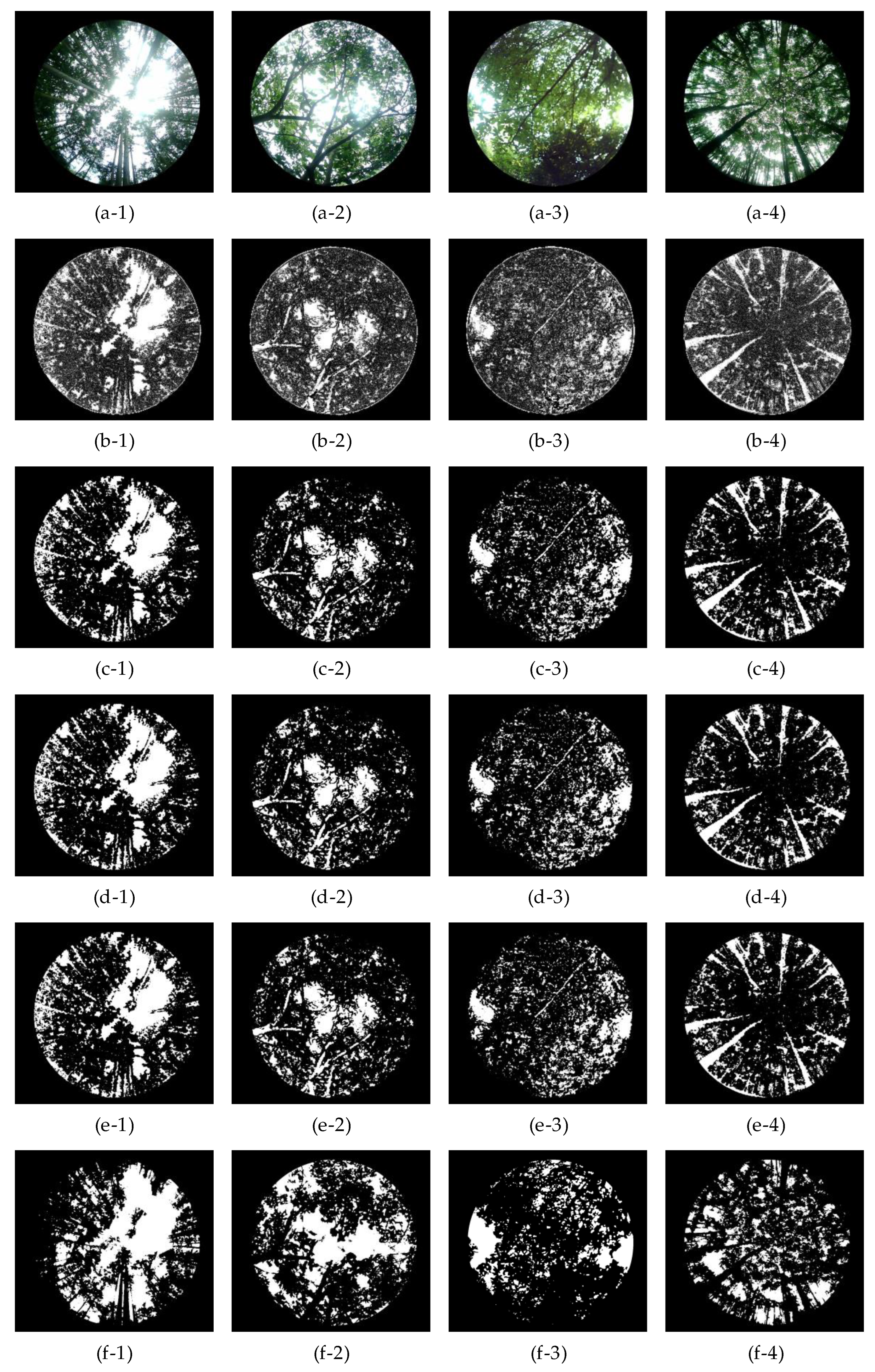 Forests 16 00736 g015